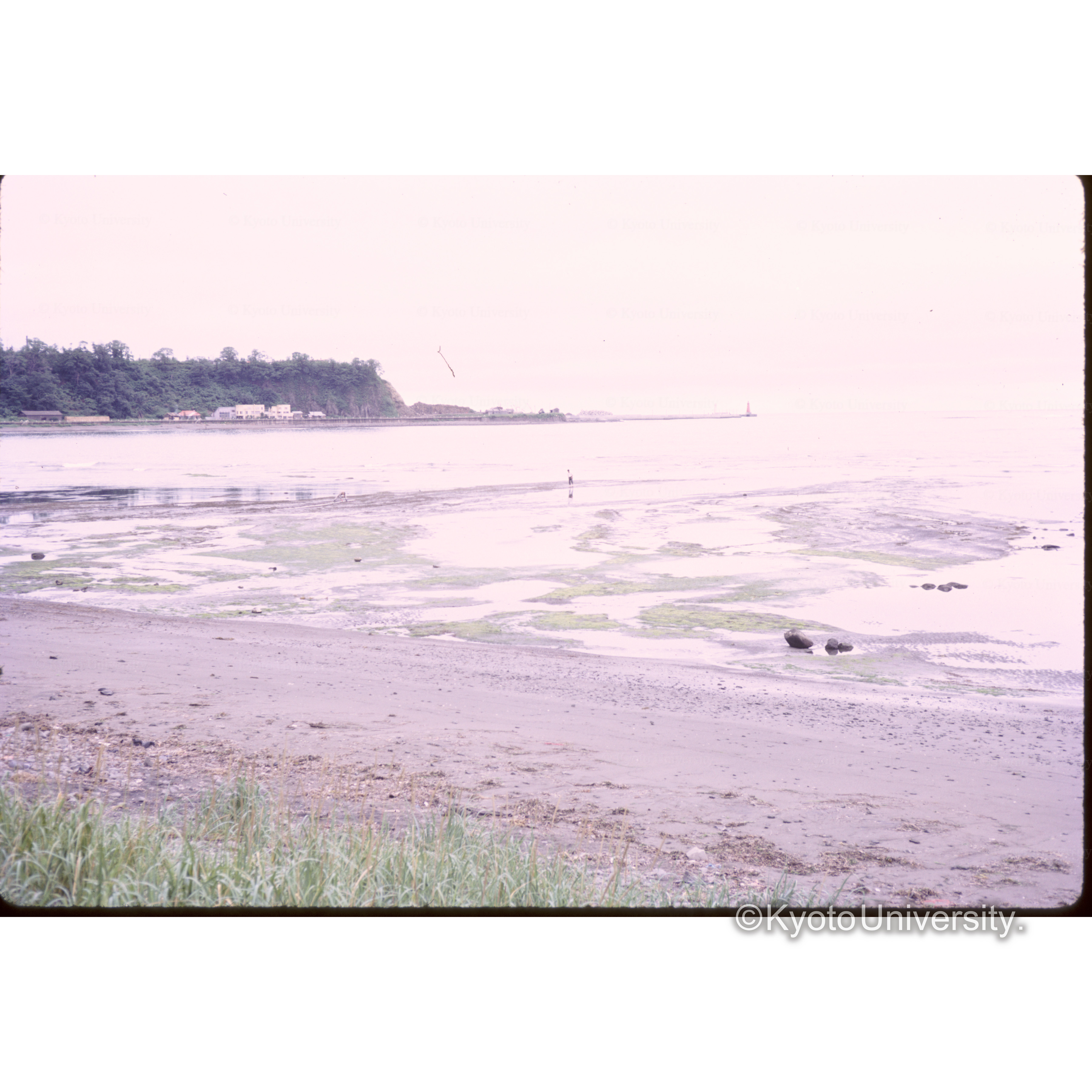 網走付近の海 (1)