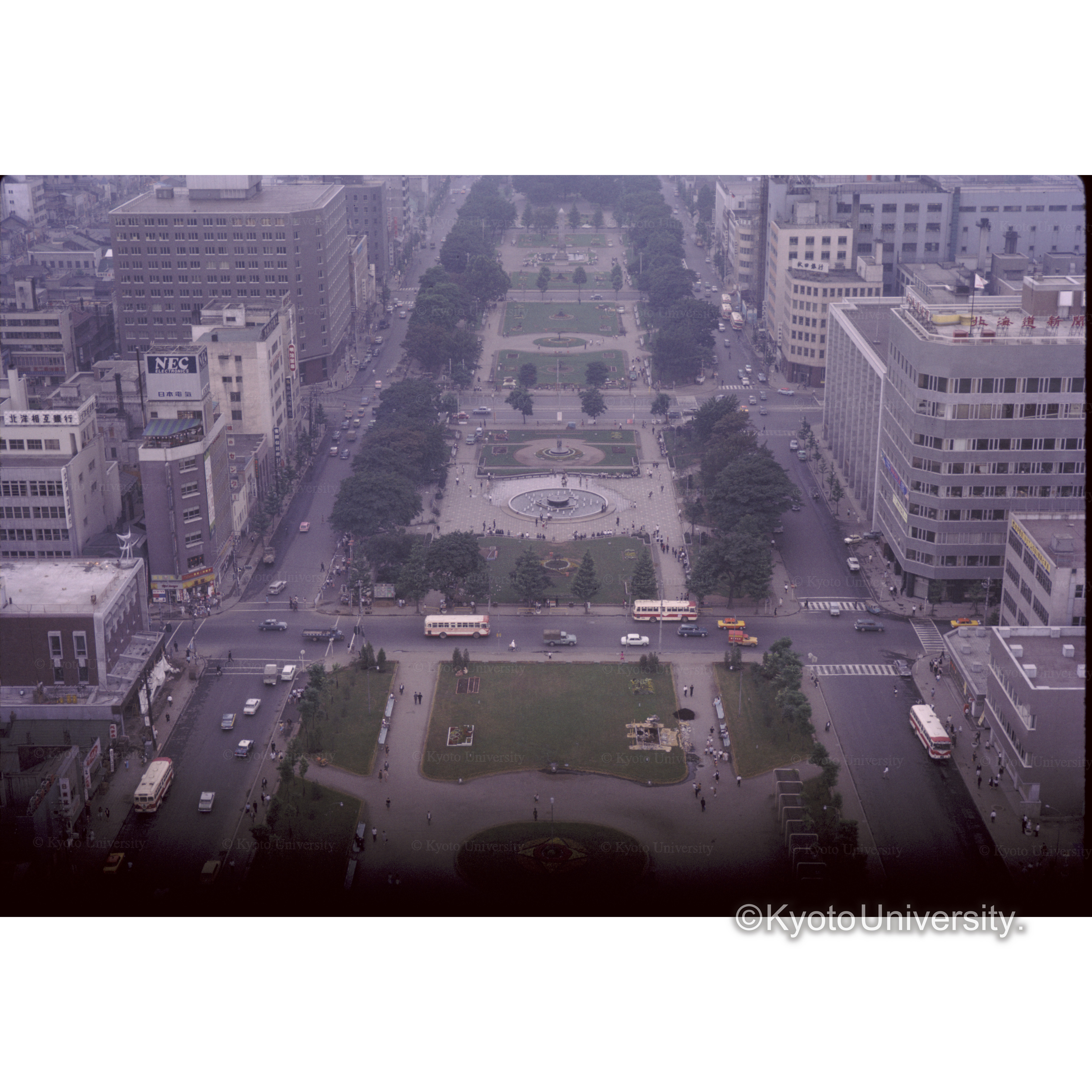 札幌タワーよりみた大通り (1)