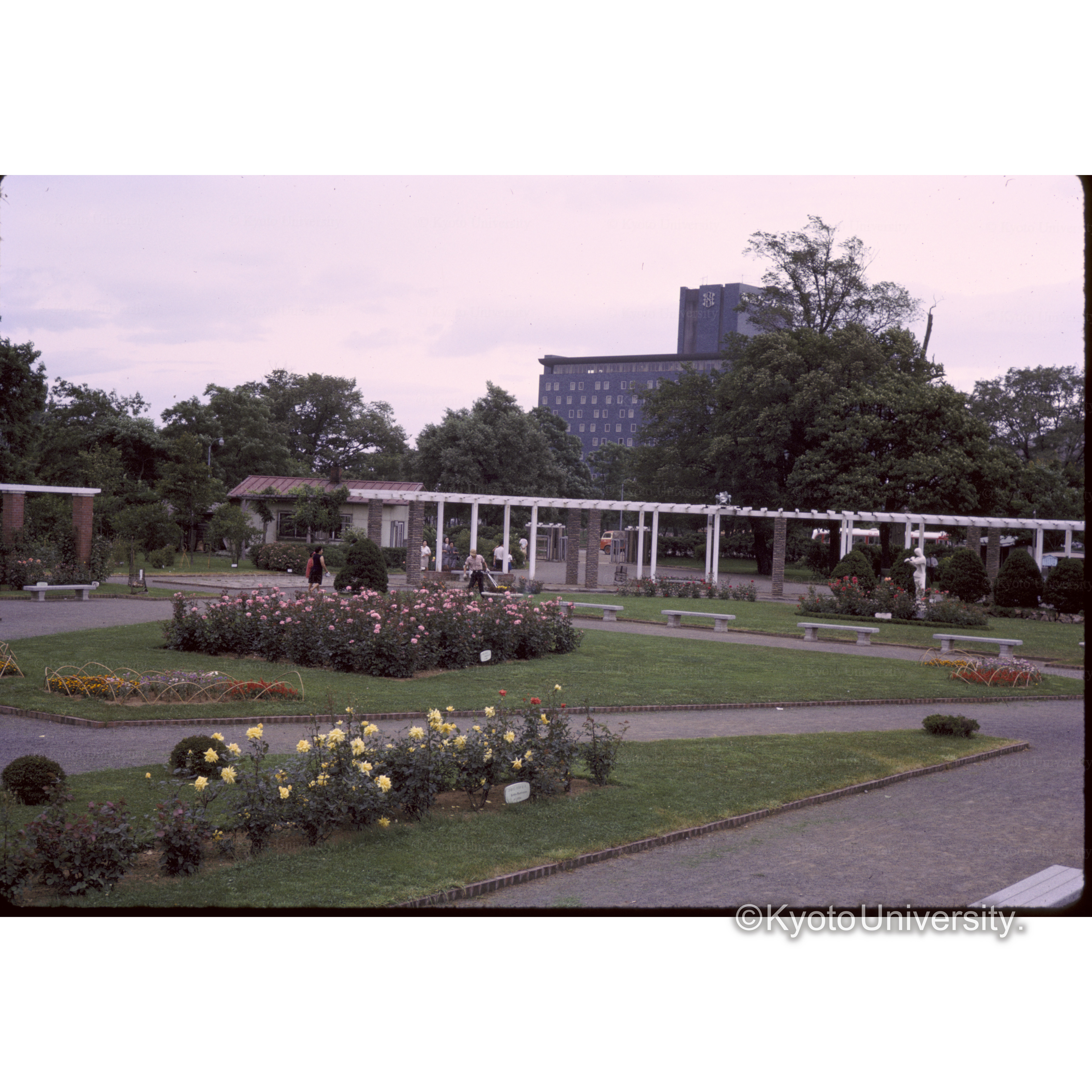 札幌　中島公園□□園 (1)