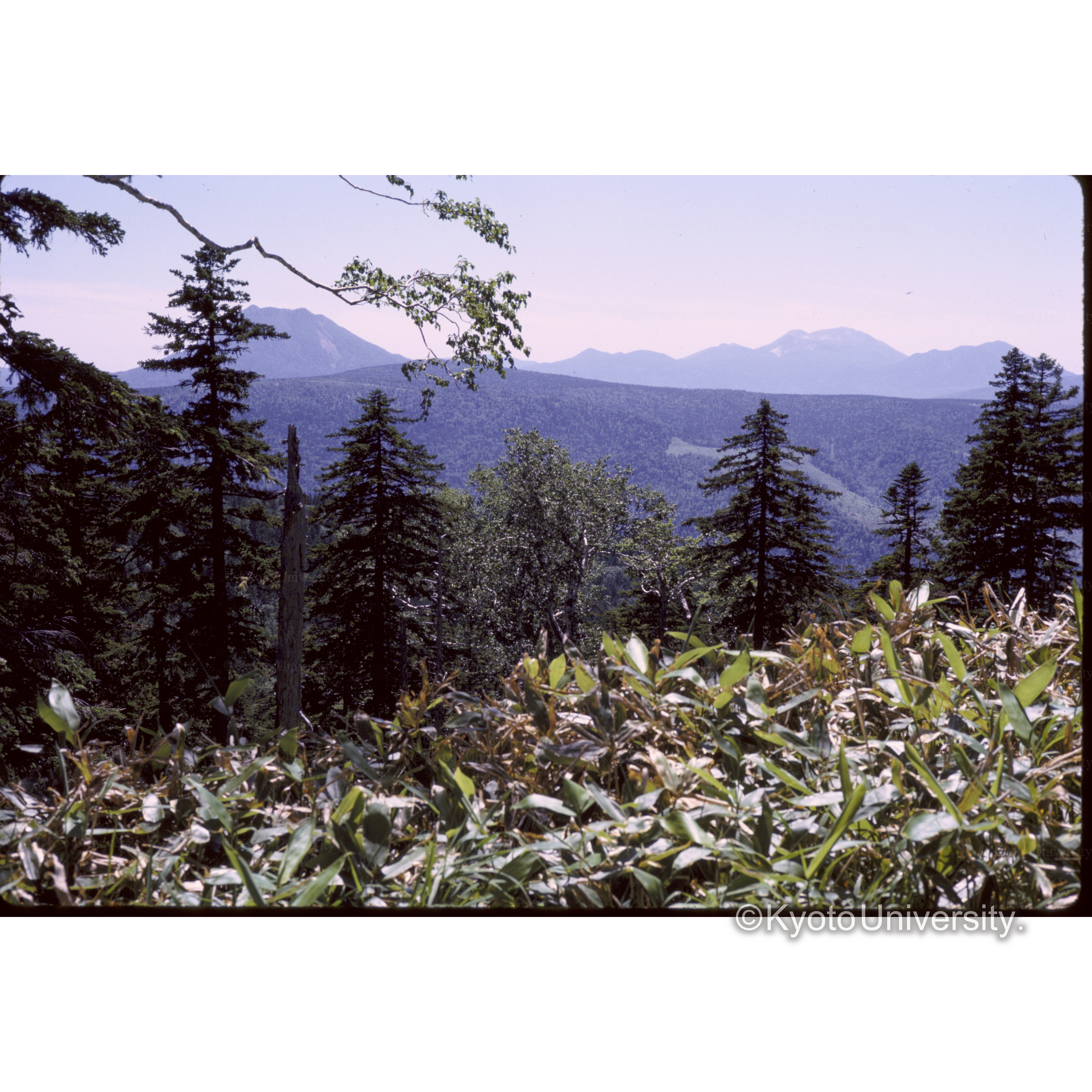 津別峠からみた雄阿寒岳 (1)