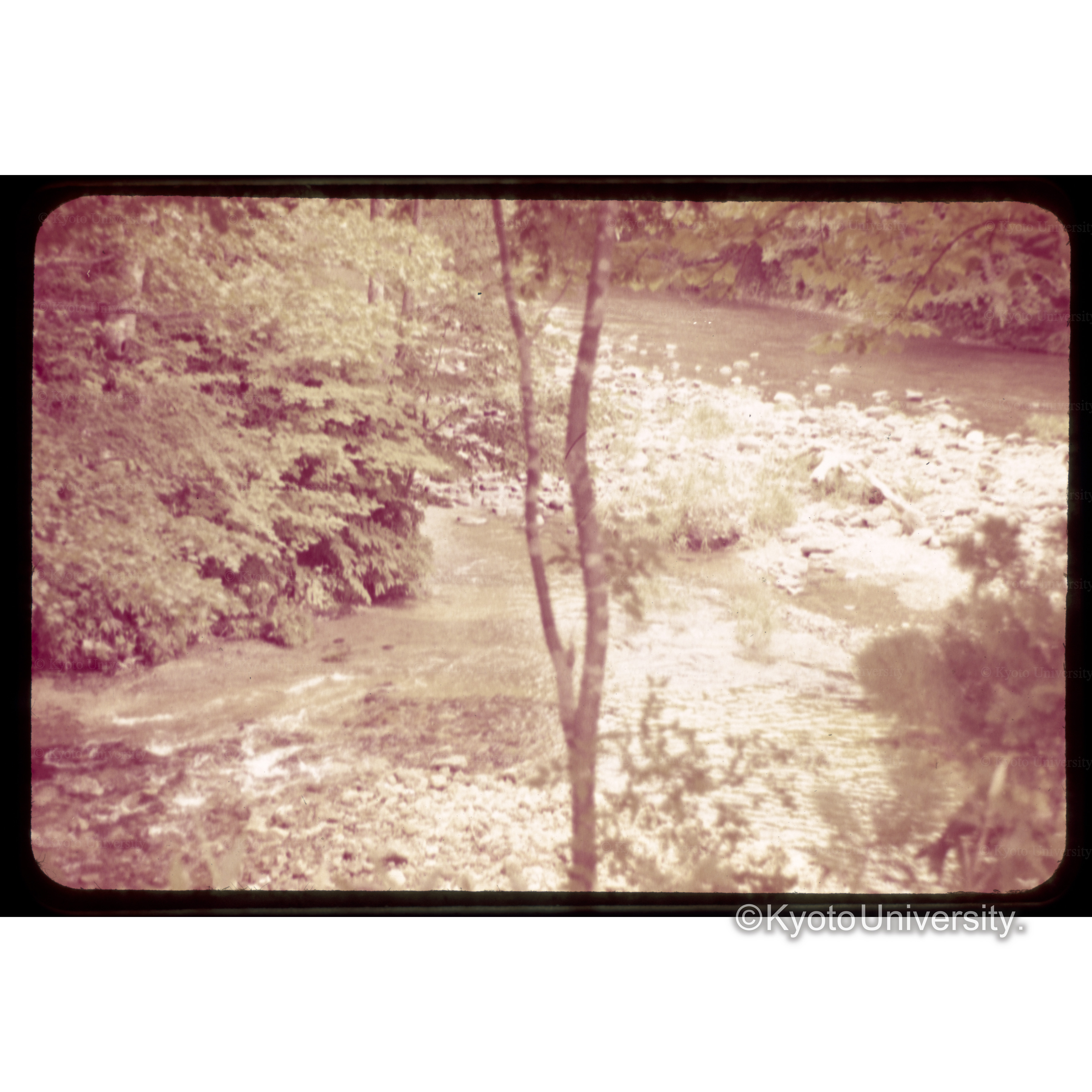 大畑湯ノ股風景 (1)