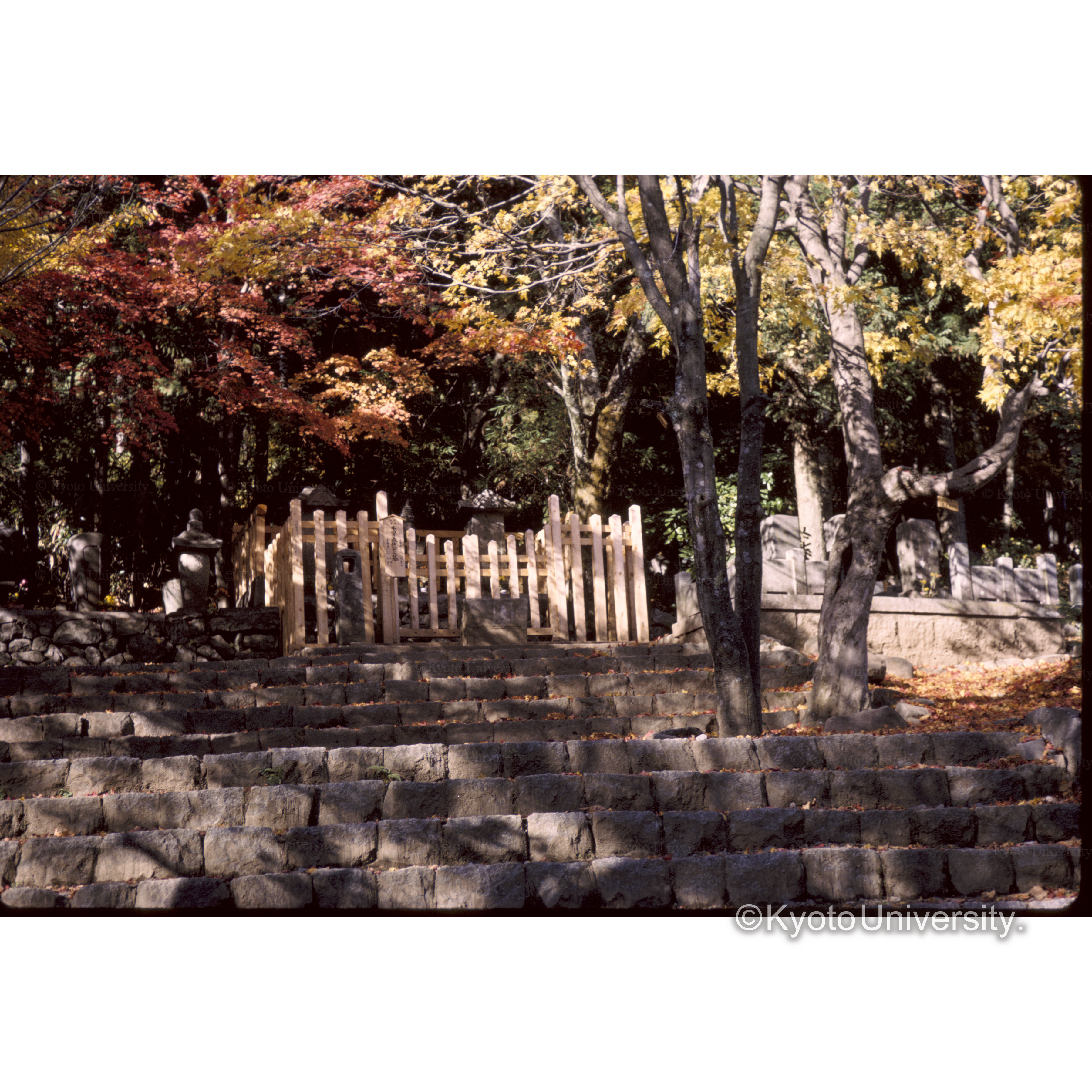 興禅寺(義仲墓)木曽福島 (1)