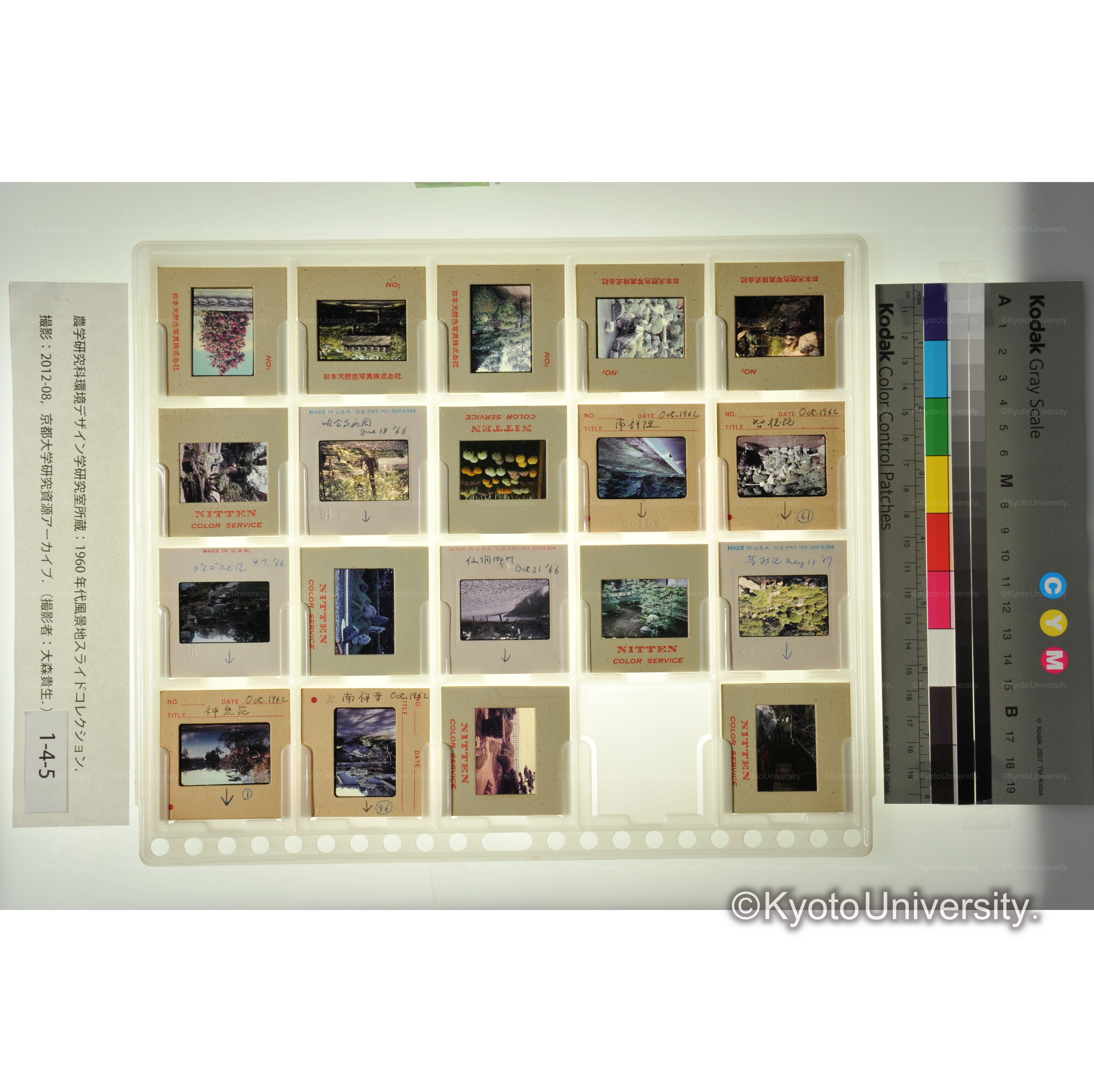 〔南禅寺、神泉苑など　庭園〕 (1)