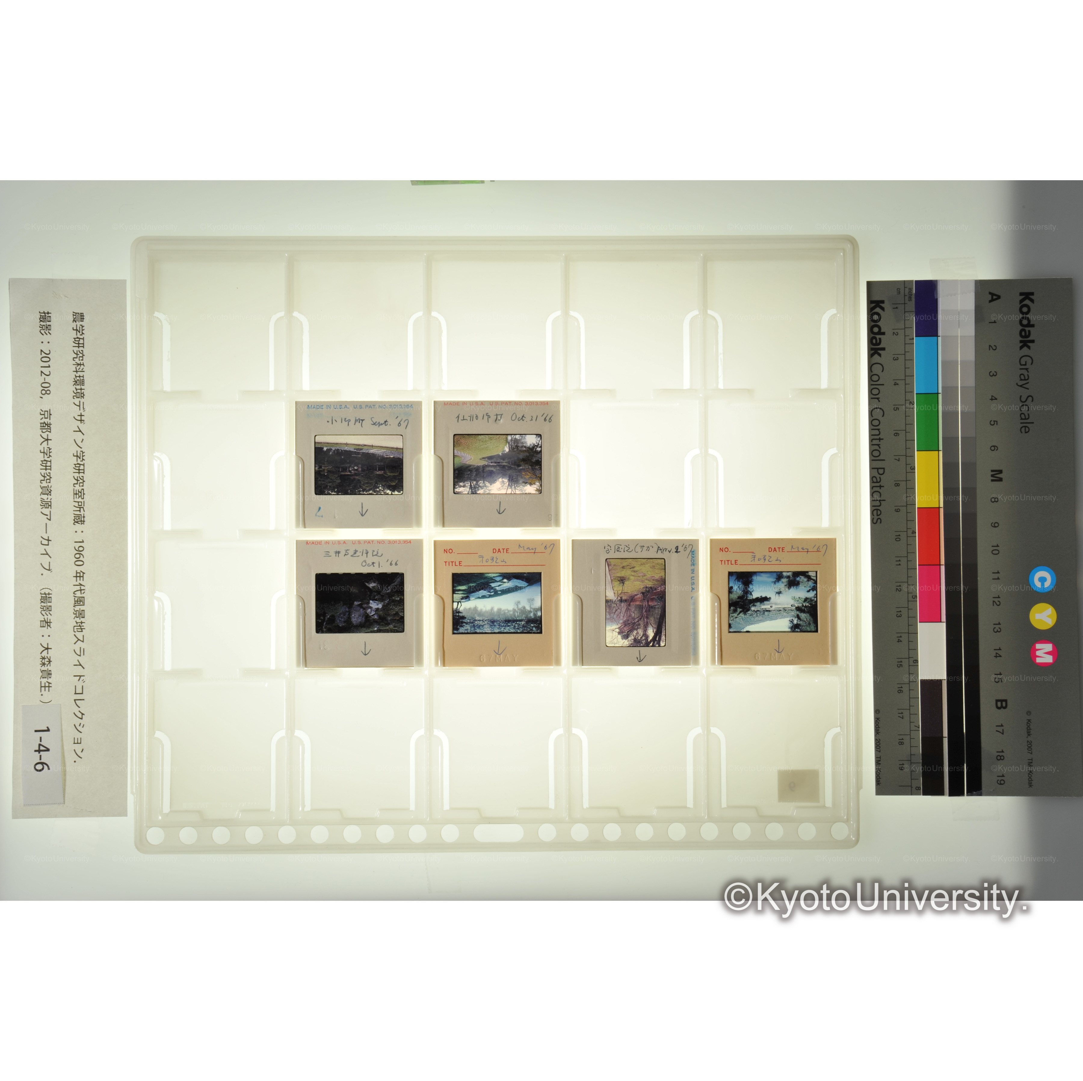 〔京都、和歌山、滋賀　寺社〕 (1)