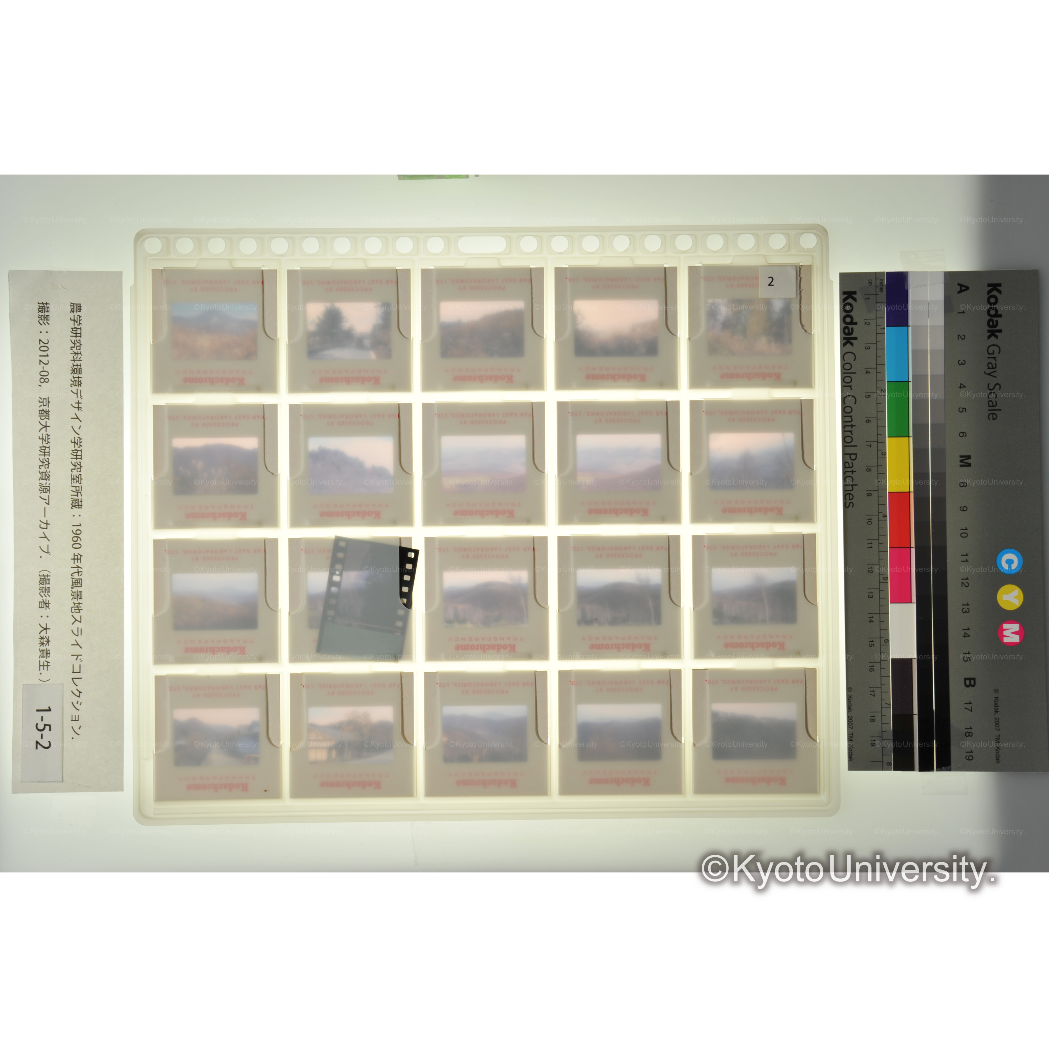 〔蓼科、八ヶ岳、美ヶ原〕 (2)