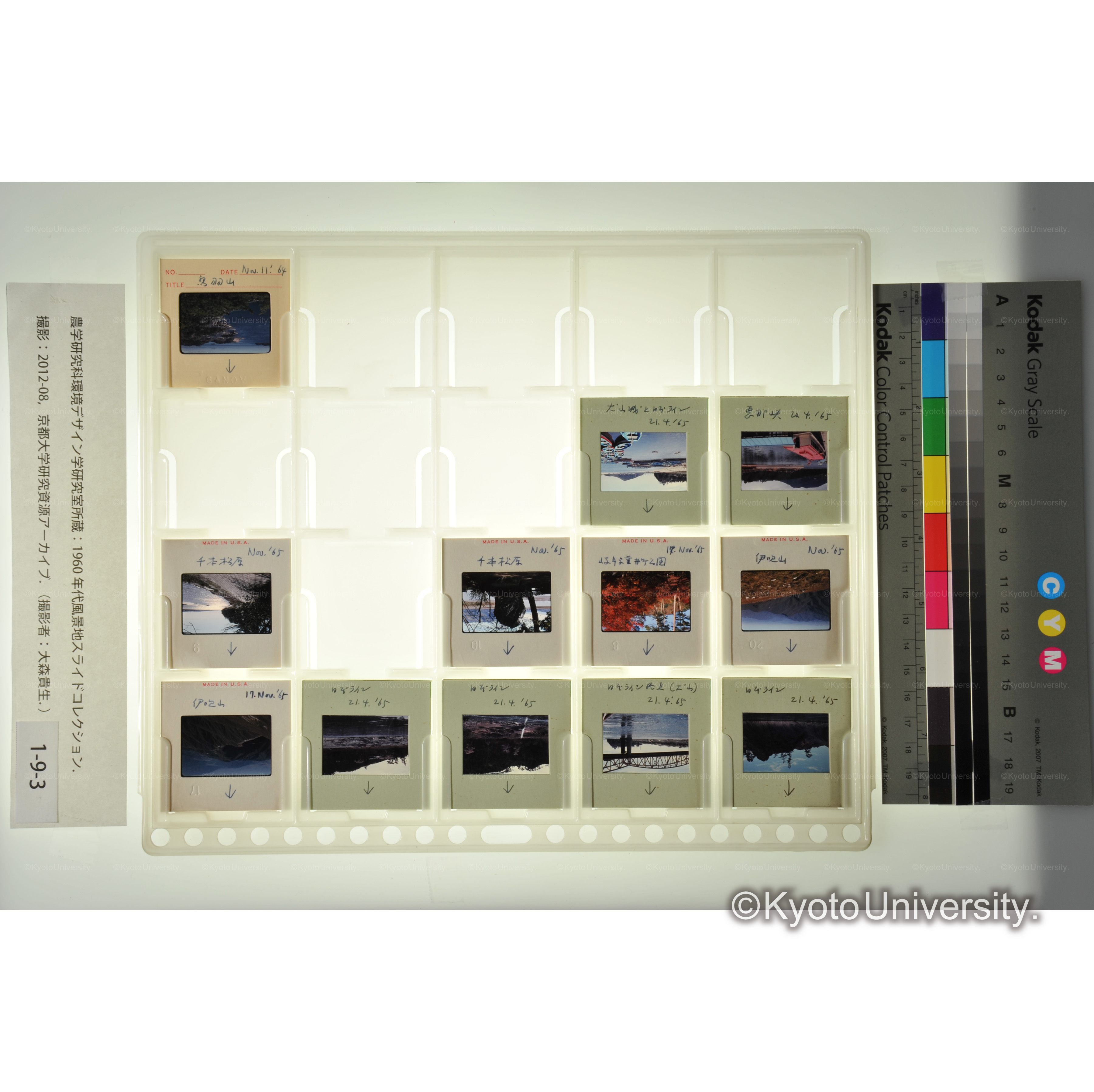 〔日本ライン、伊吹山、千本松原〕 (1)