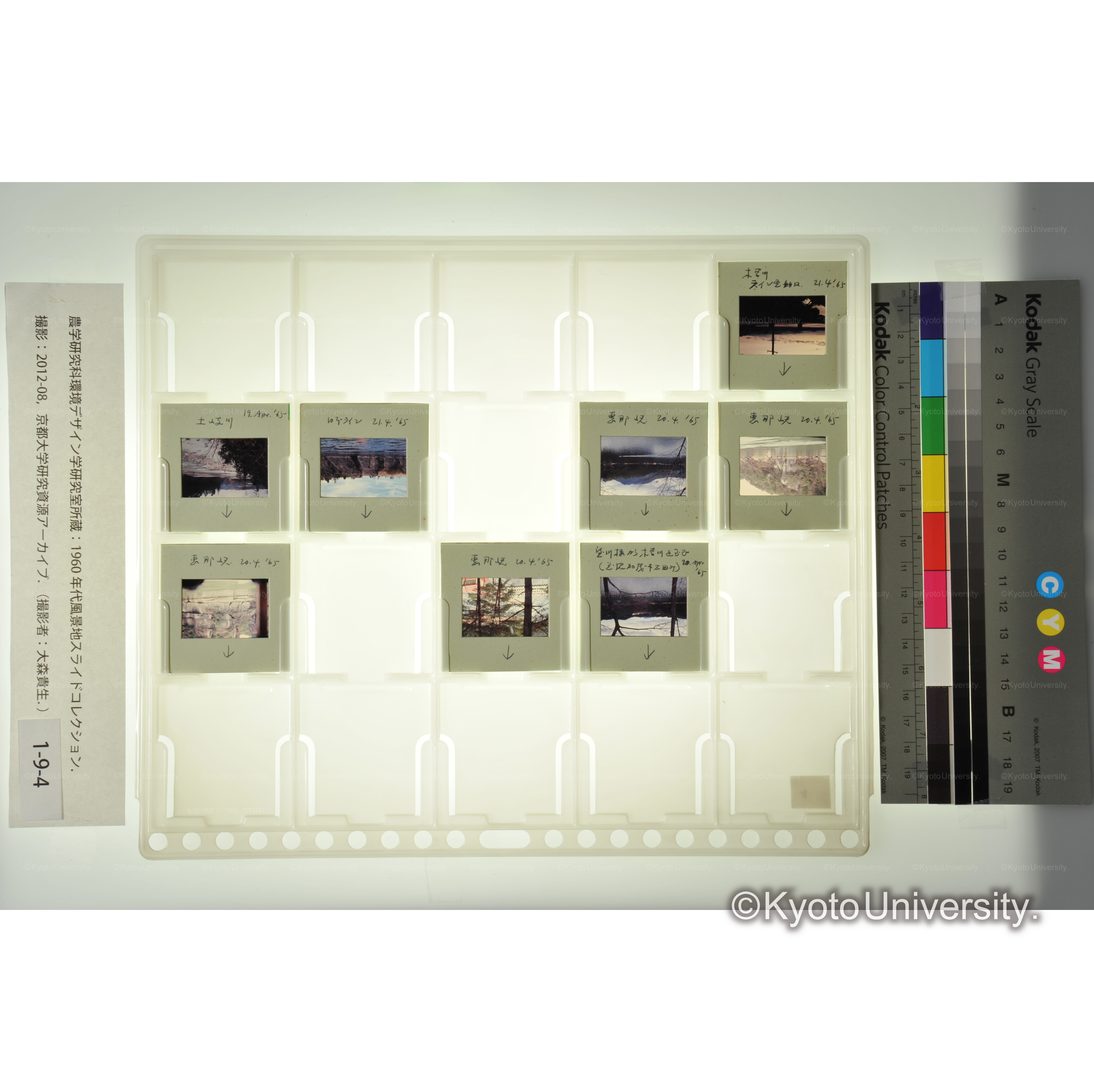 〔日本ライン、伊吹山、千本松原〕 (1)