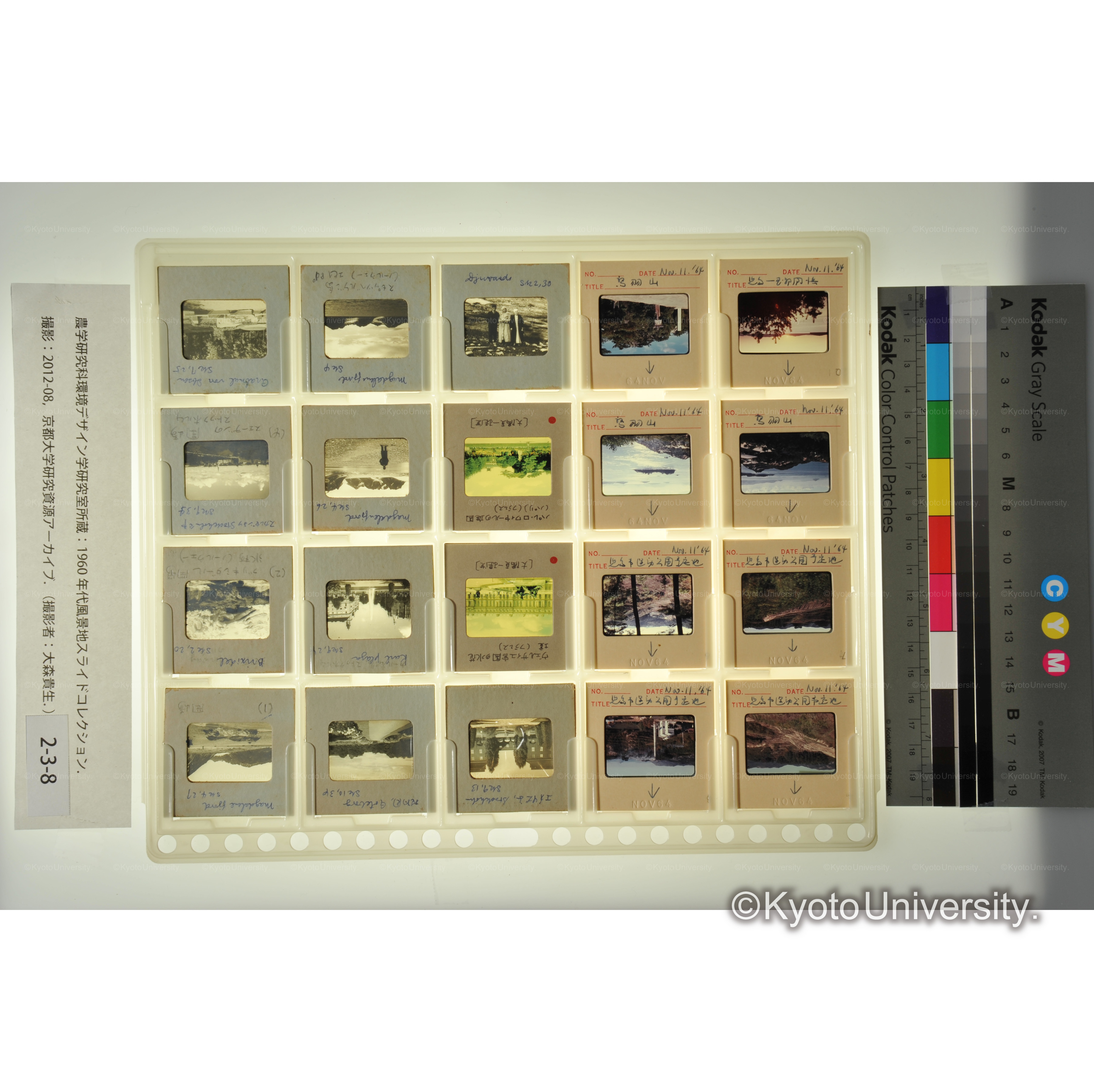 〔児島市運動公園予定地、欧州の庭園〕 (1)