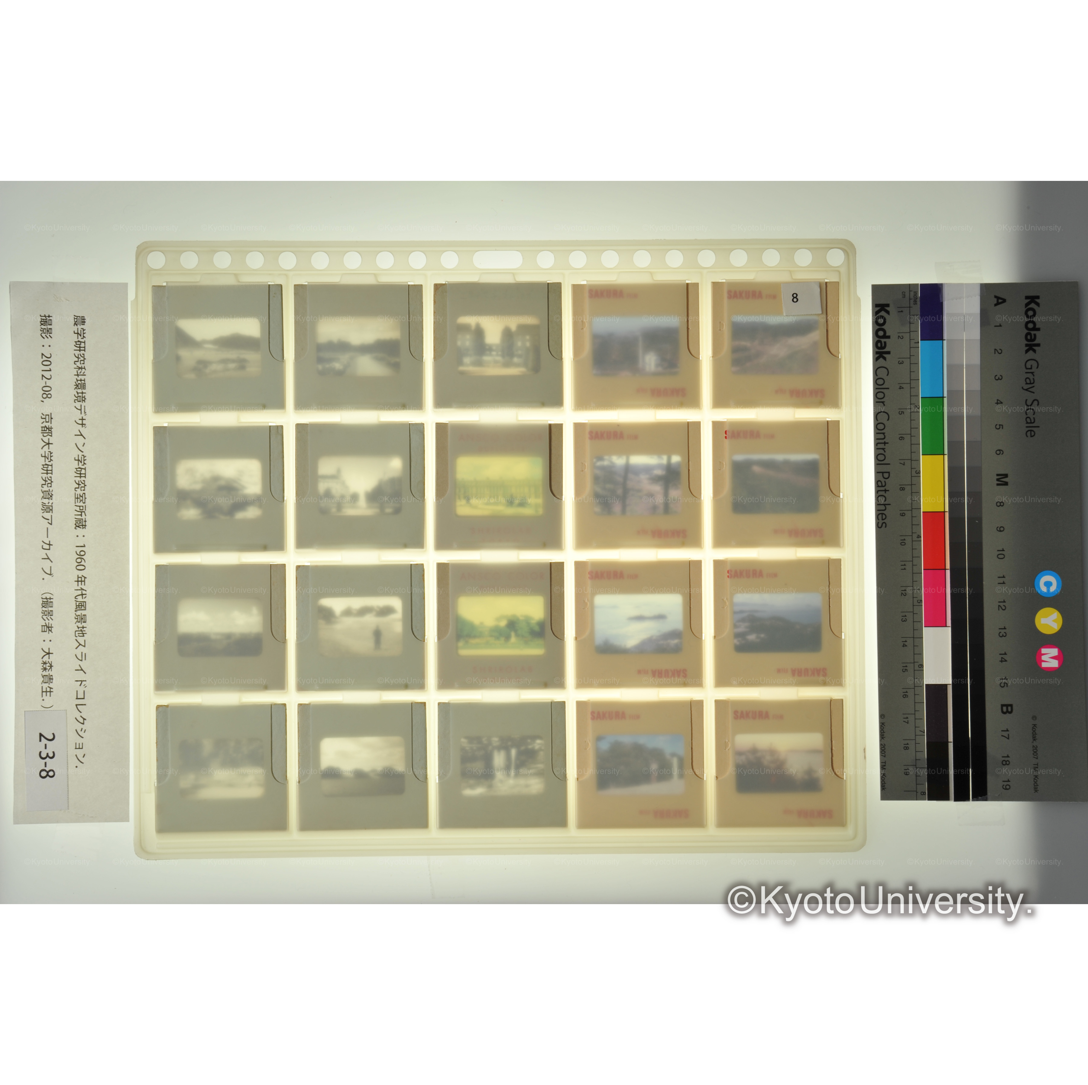 〔児島市運動公園予定地、欧州の庭園〕 (2)