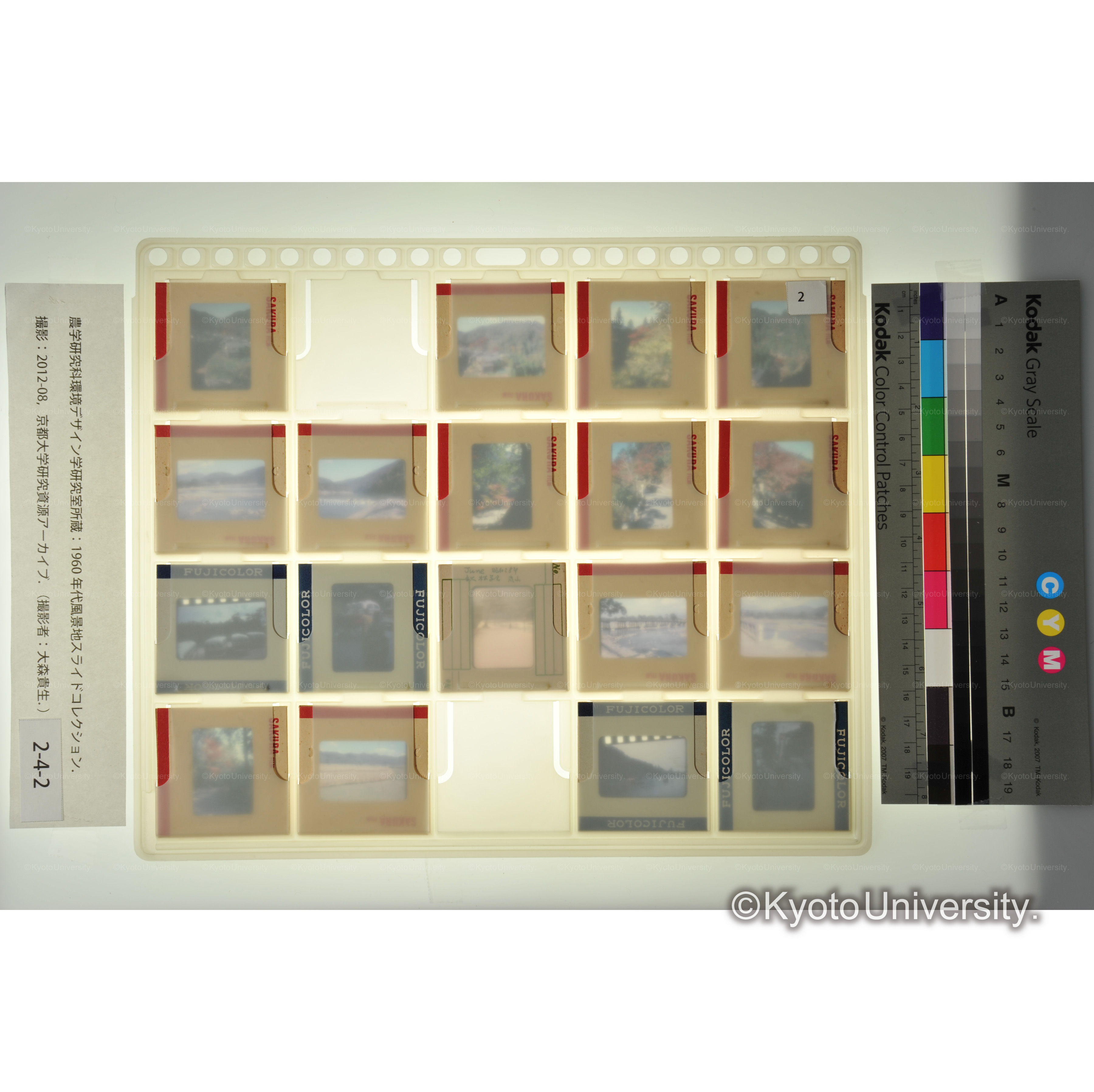 〔高雄、嵐山〕 (2)