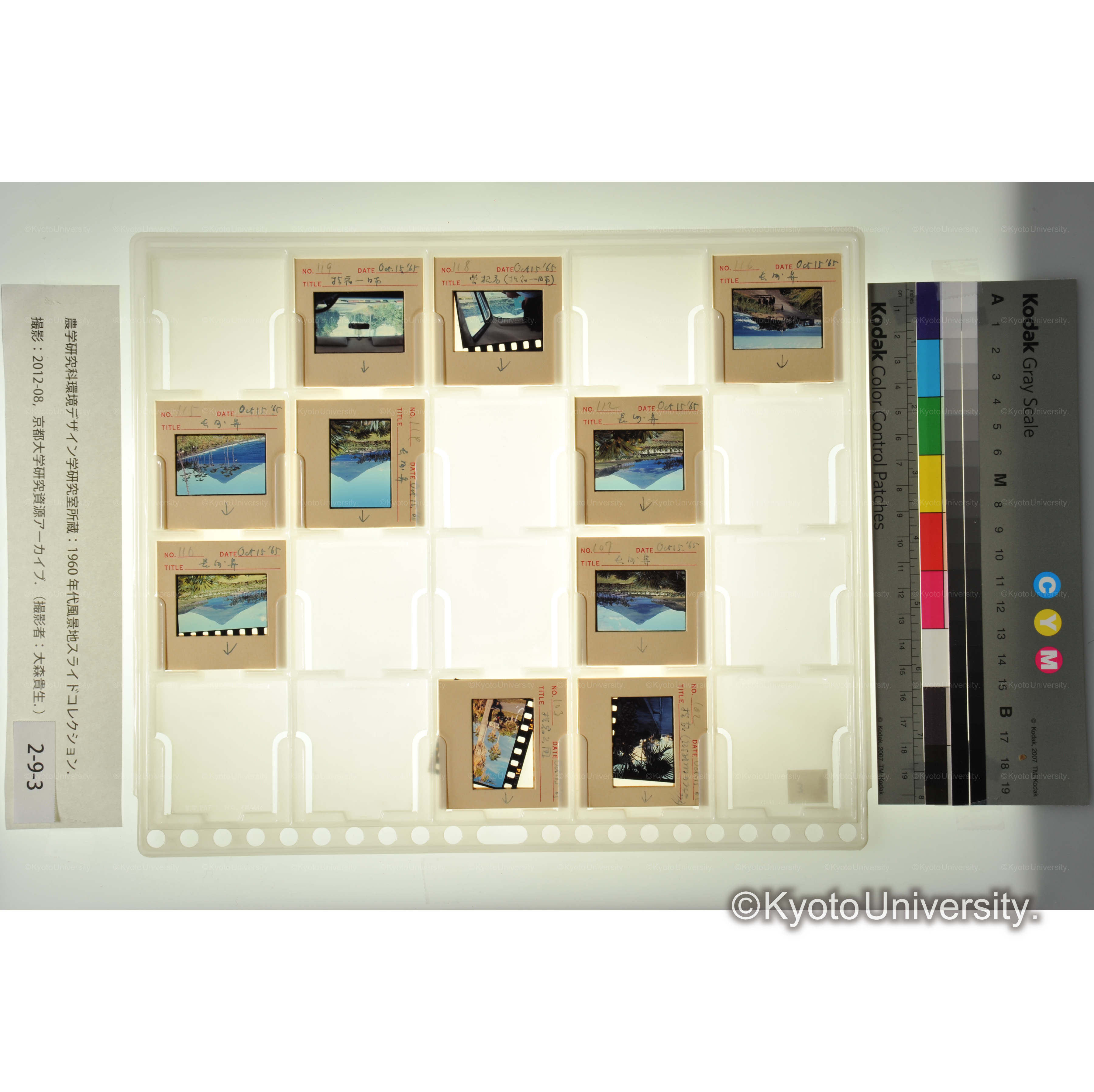 〔鹿児島、長崎〕 (1)