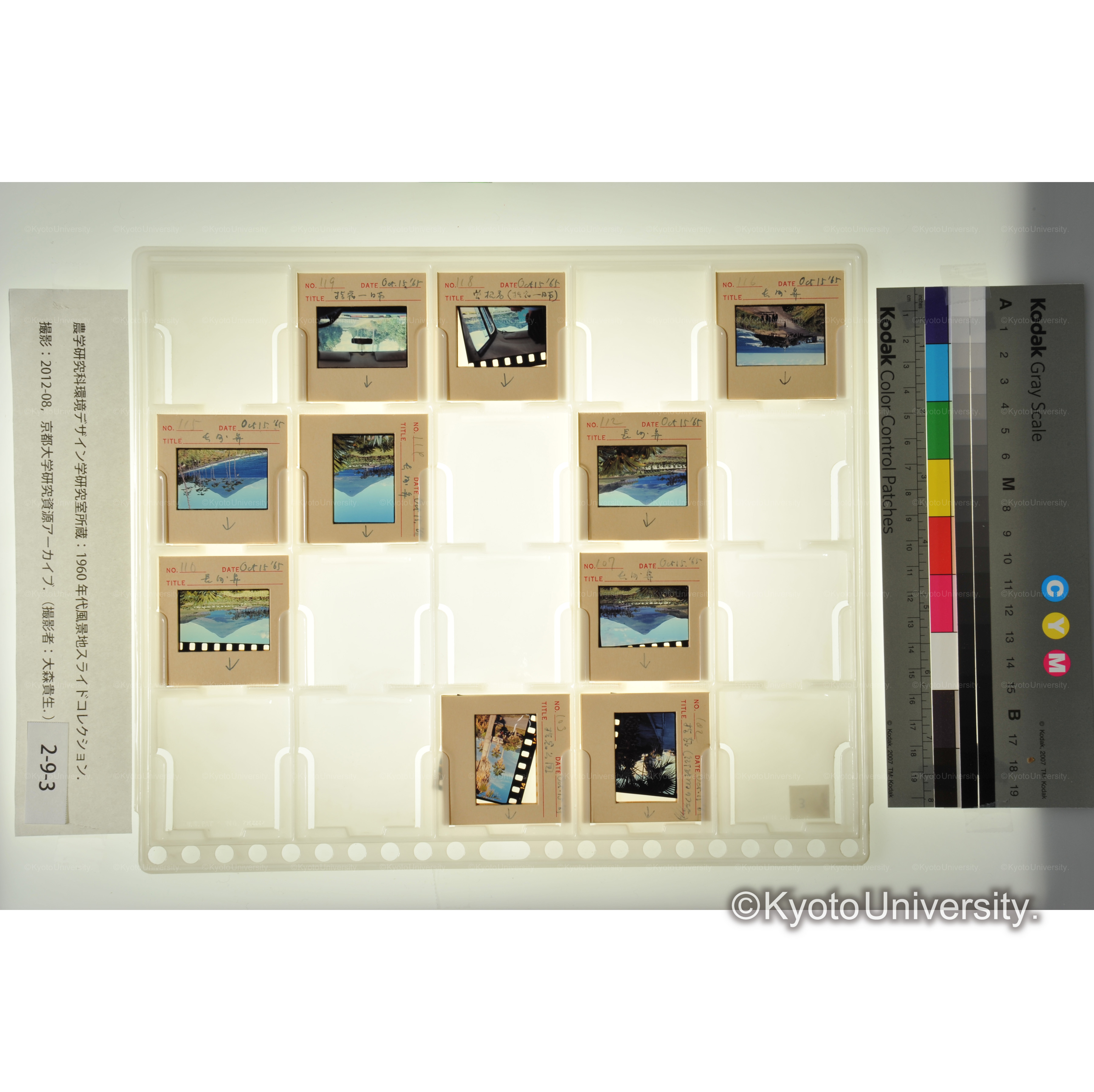 〔鹿児島、長崎〕 (2)