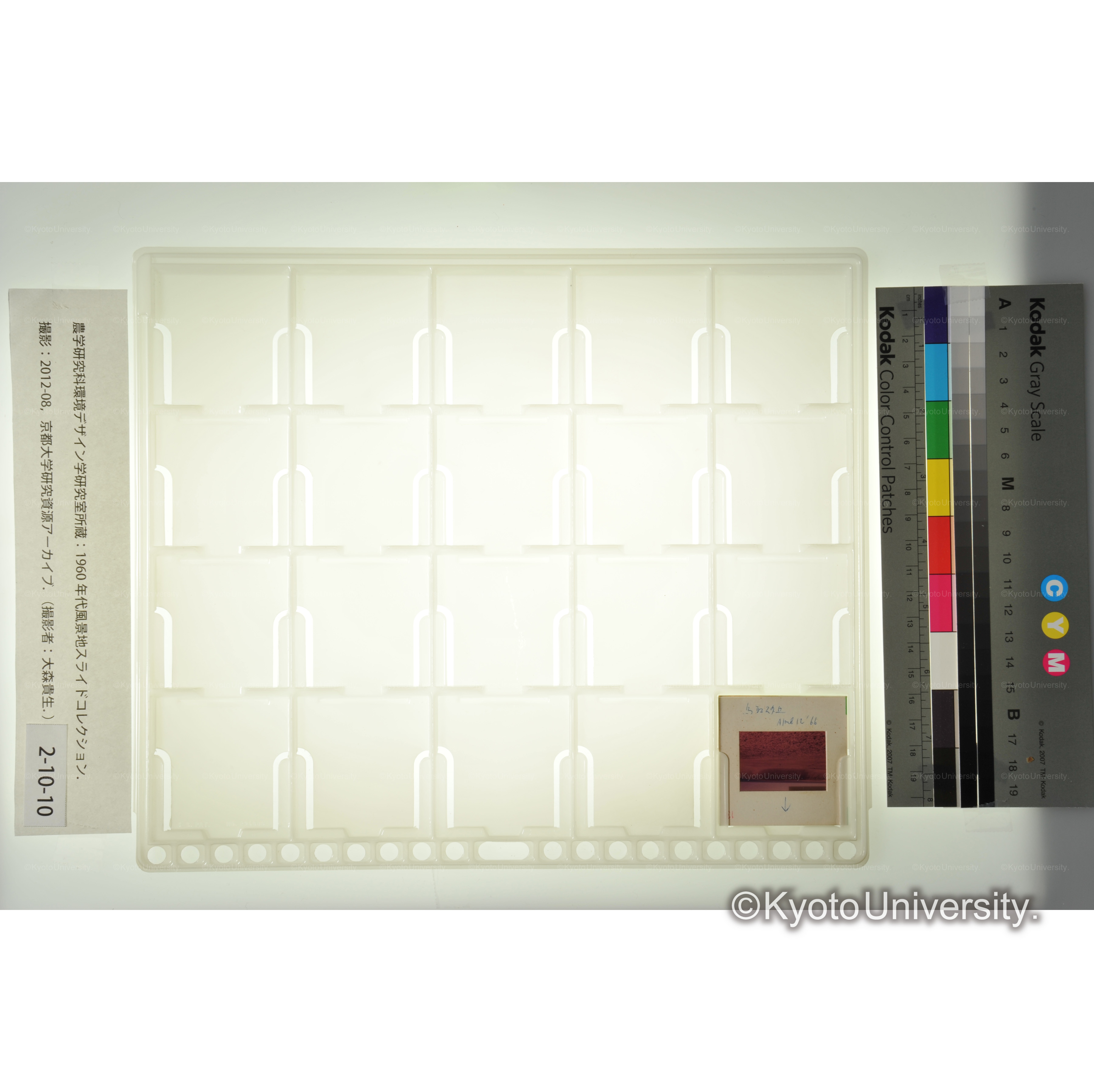 〔鳥取砂丘〕 (1)