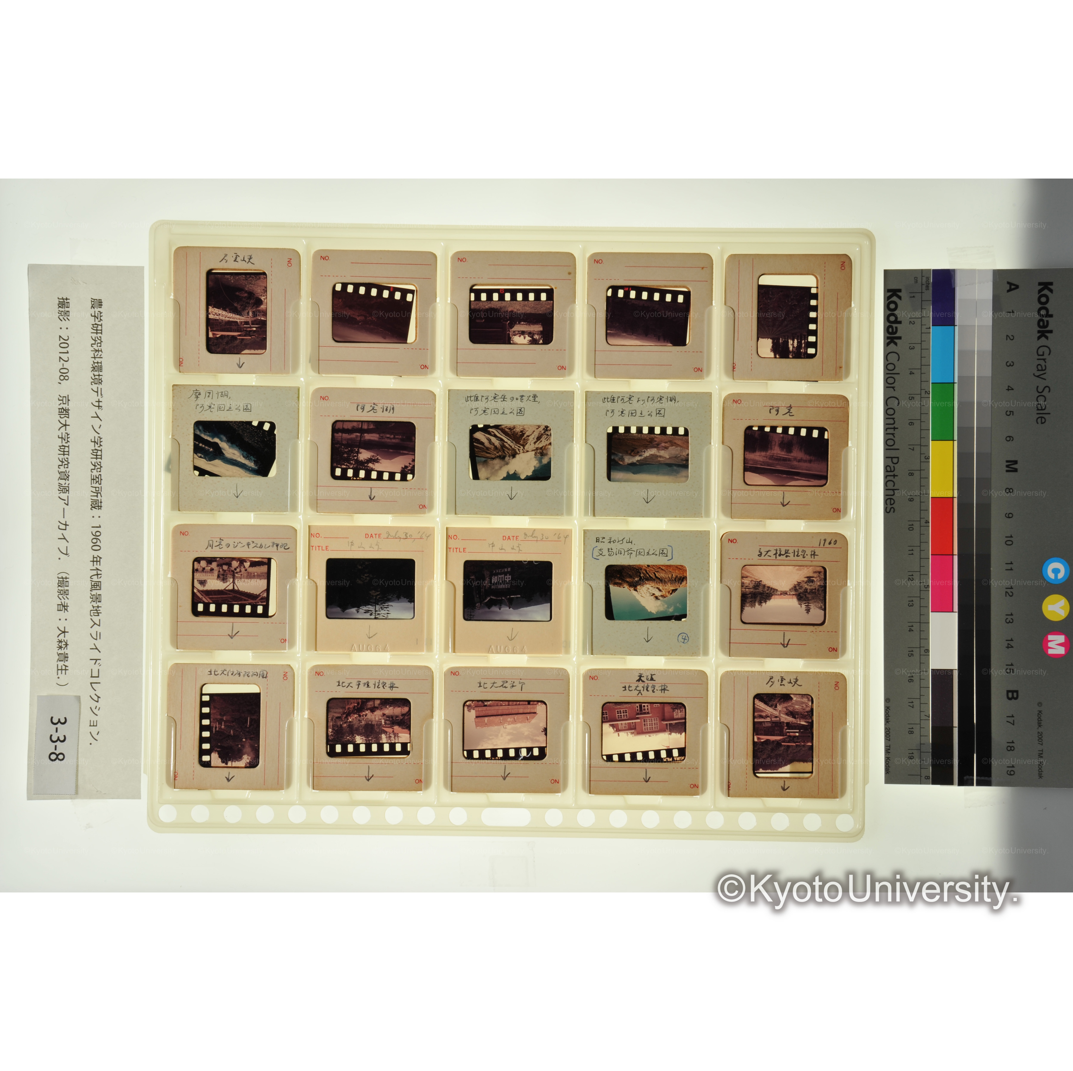 〔北大演習林、阿寒、層雲峡〕 (1)