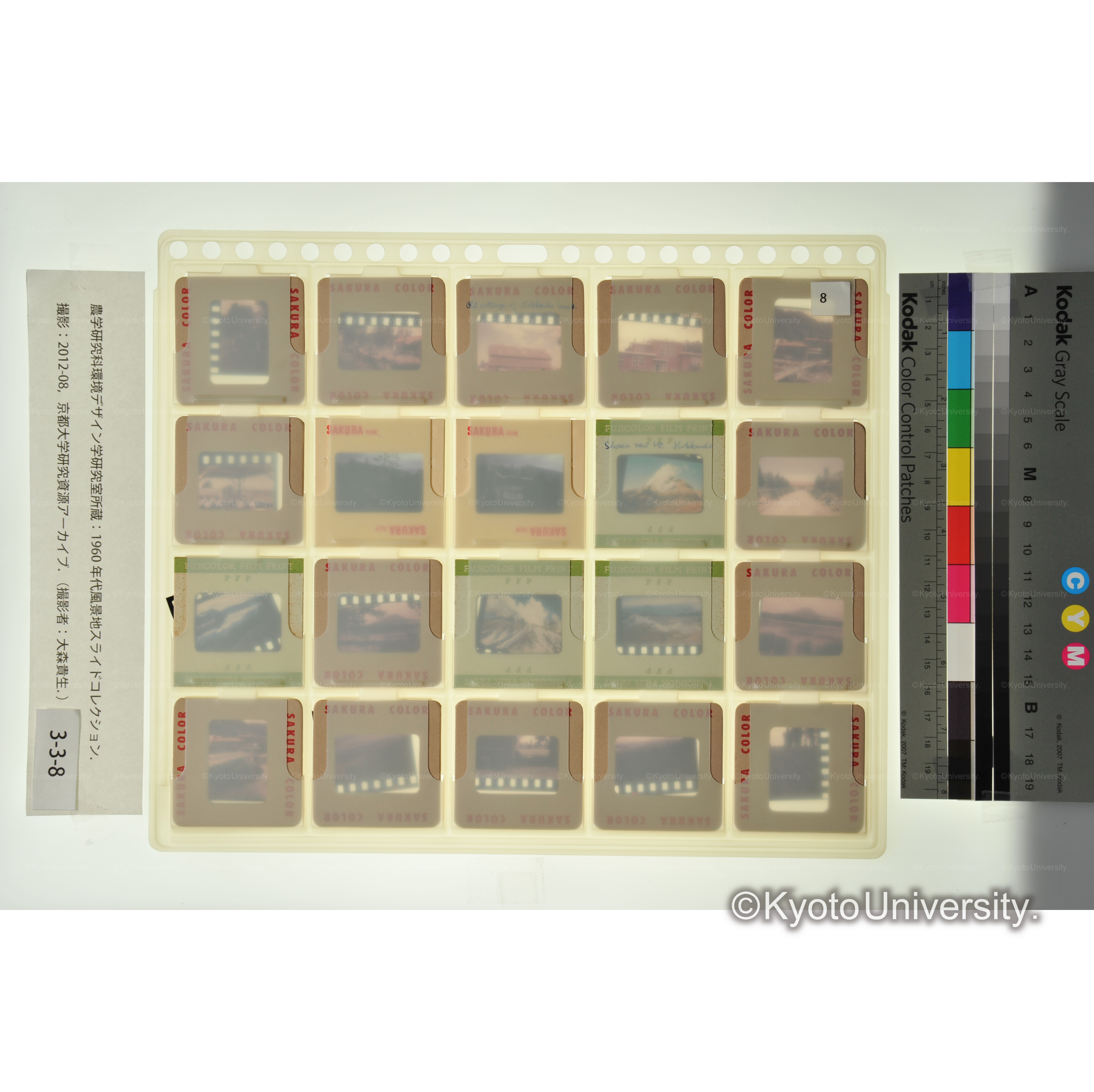 〔北大演習林、阿寒、層雲峡〕 (2)