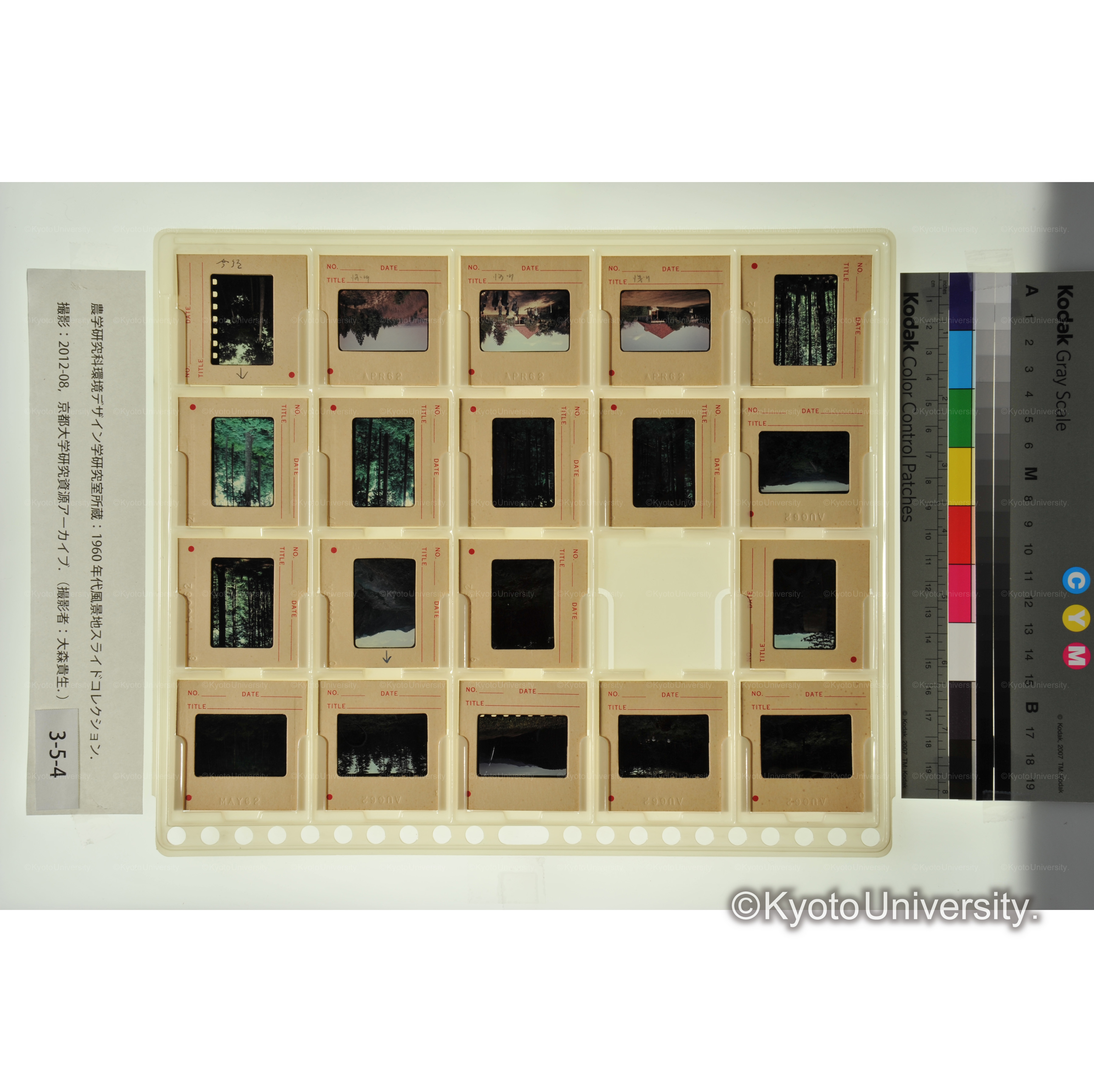 〔森林内　作業風景、伐採跡地〕 (1)