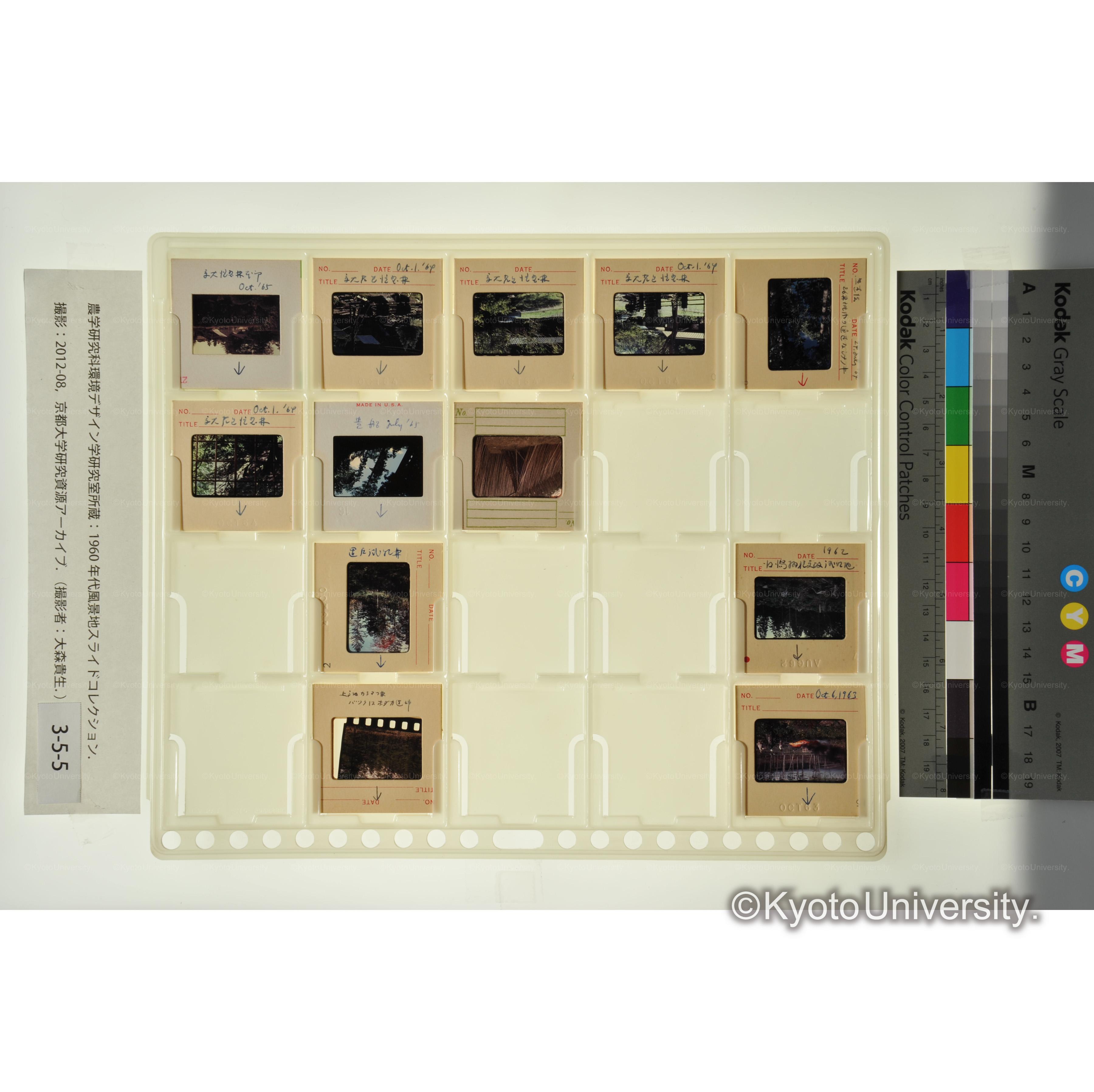 〔京大芦生演習林、置戸試験林〕 (1)