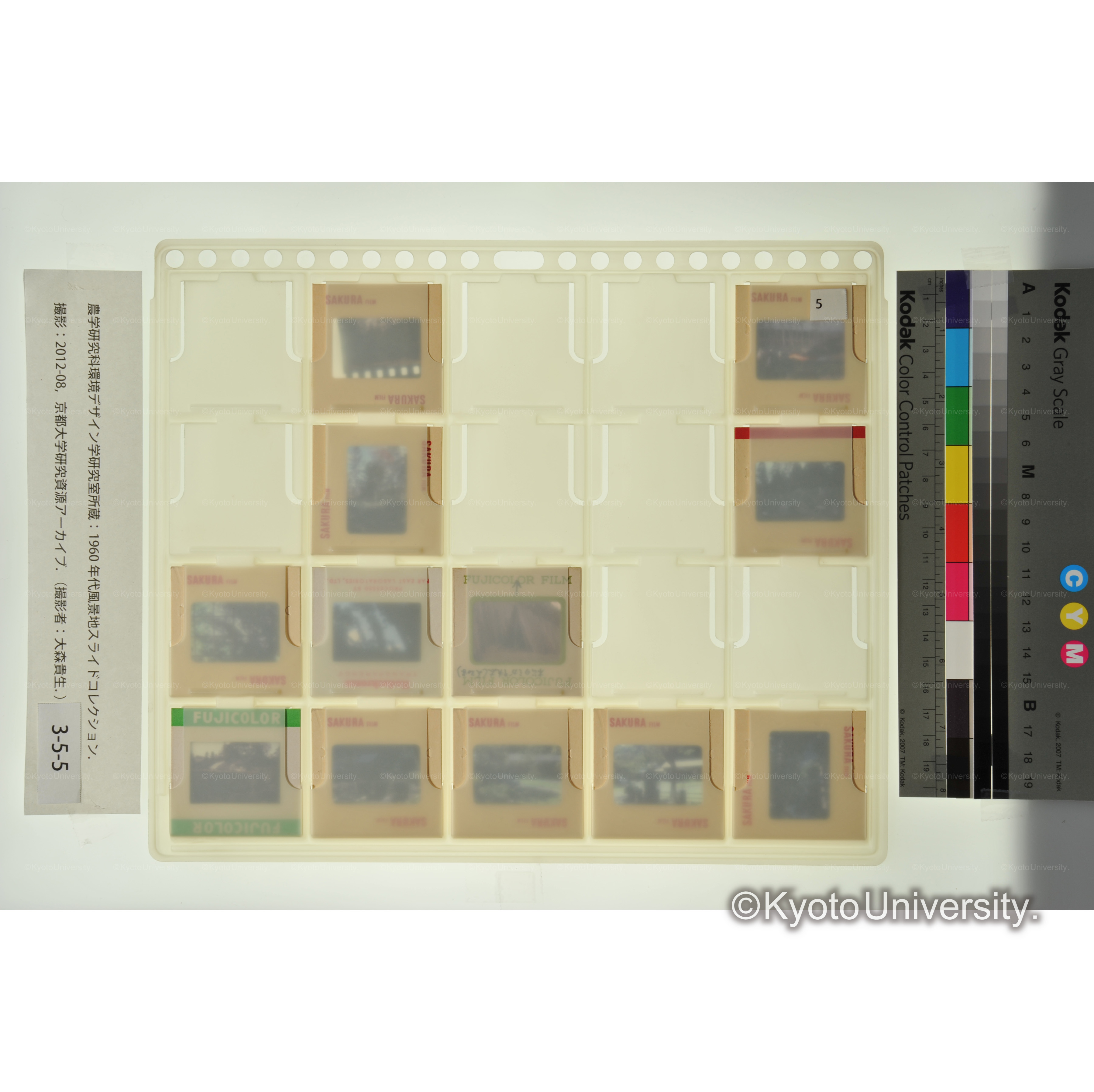 〔京大芦生演習林、置戸試験林〕 (2)