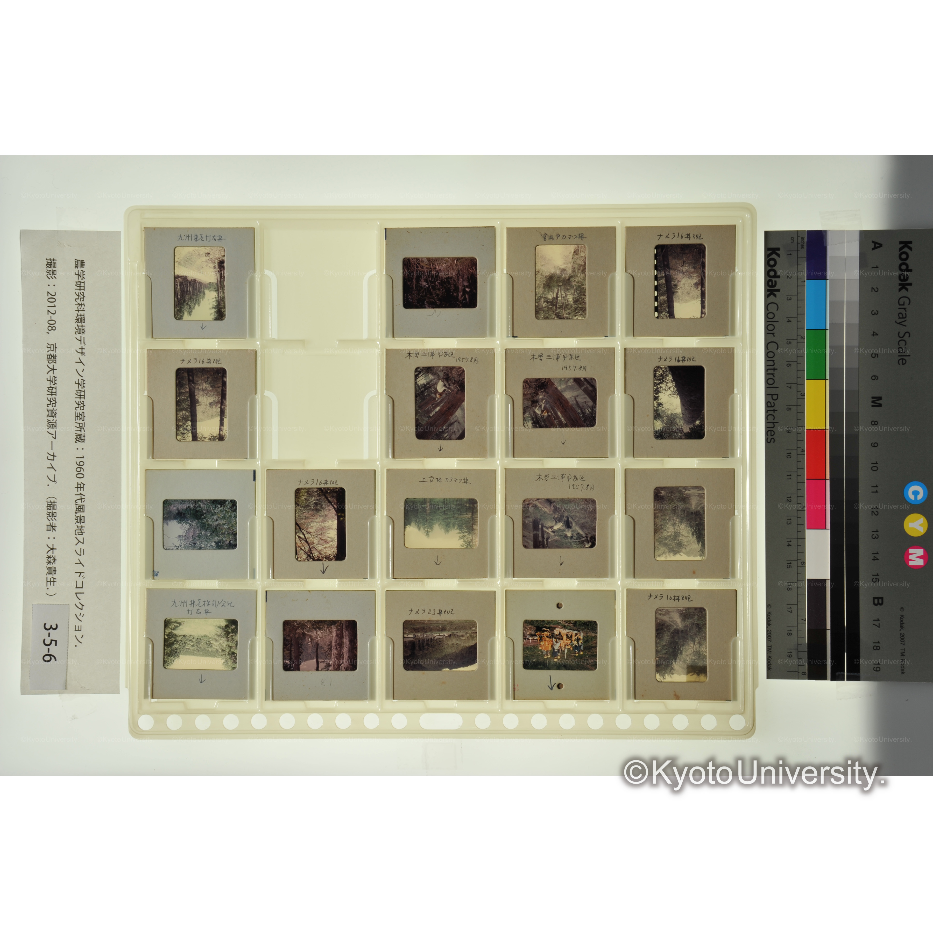 〔森林　ナメラ　九州林産所有林〕 (1)