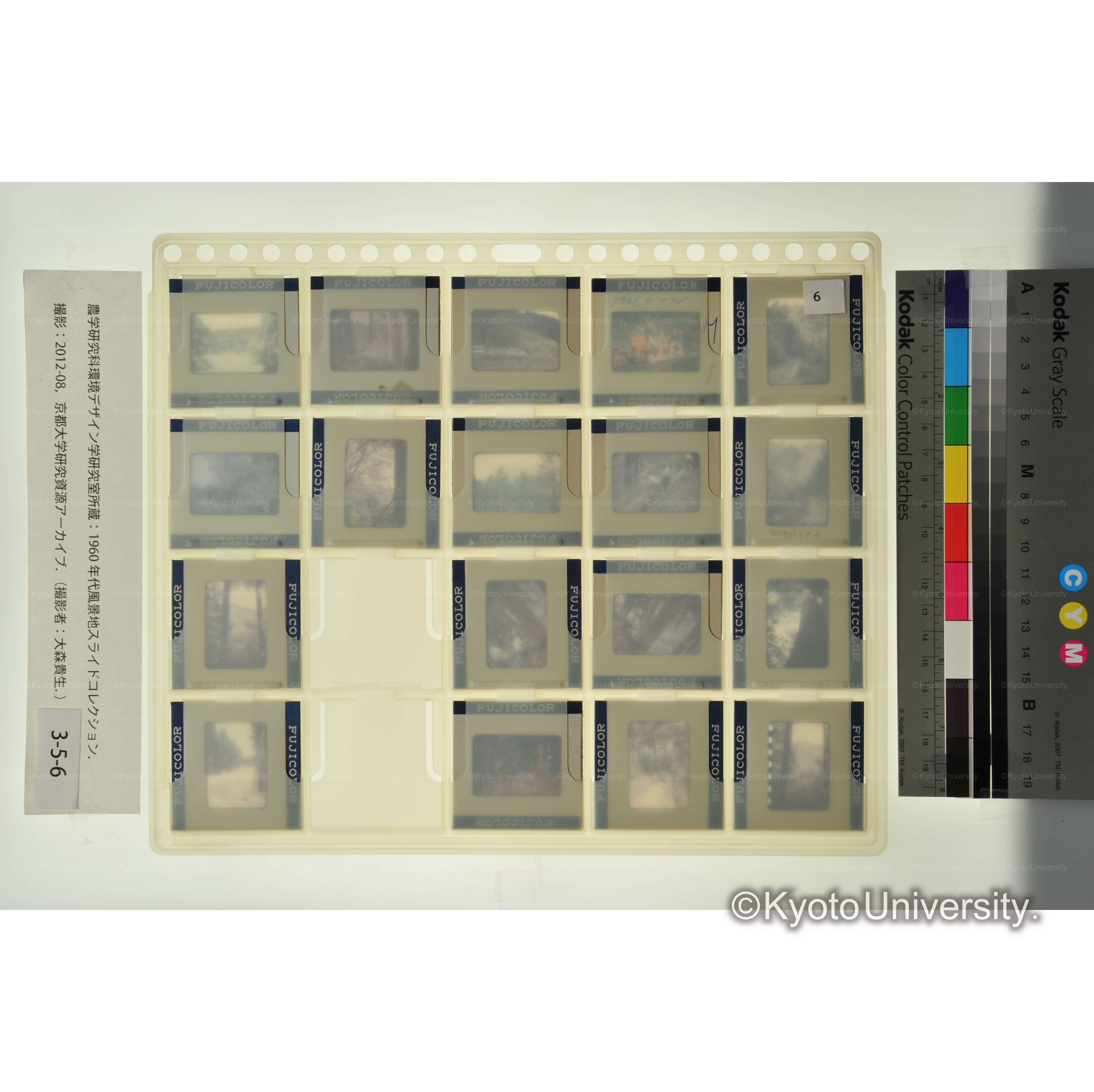 〔森林　ナメラ　九州林産所有林〕 (2)