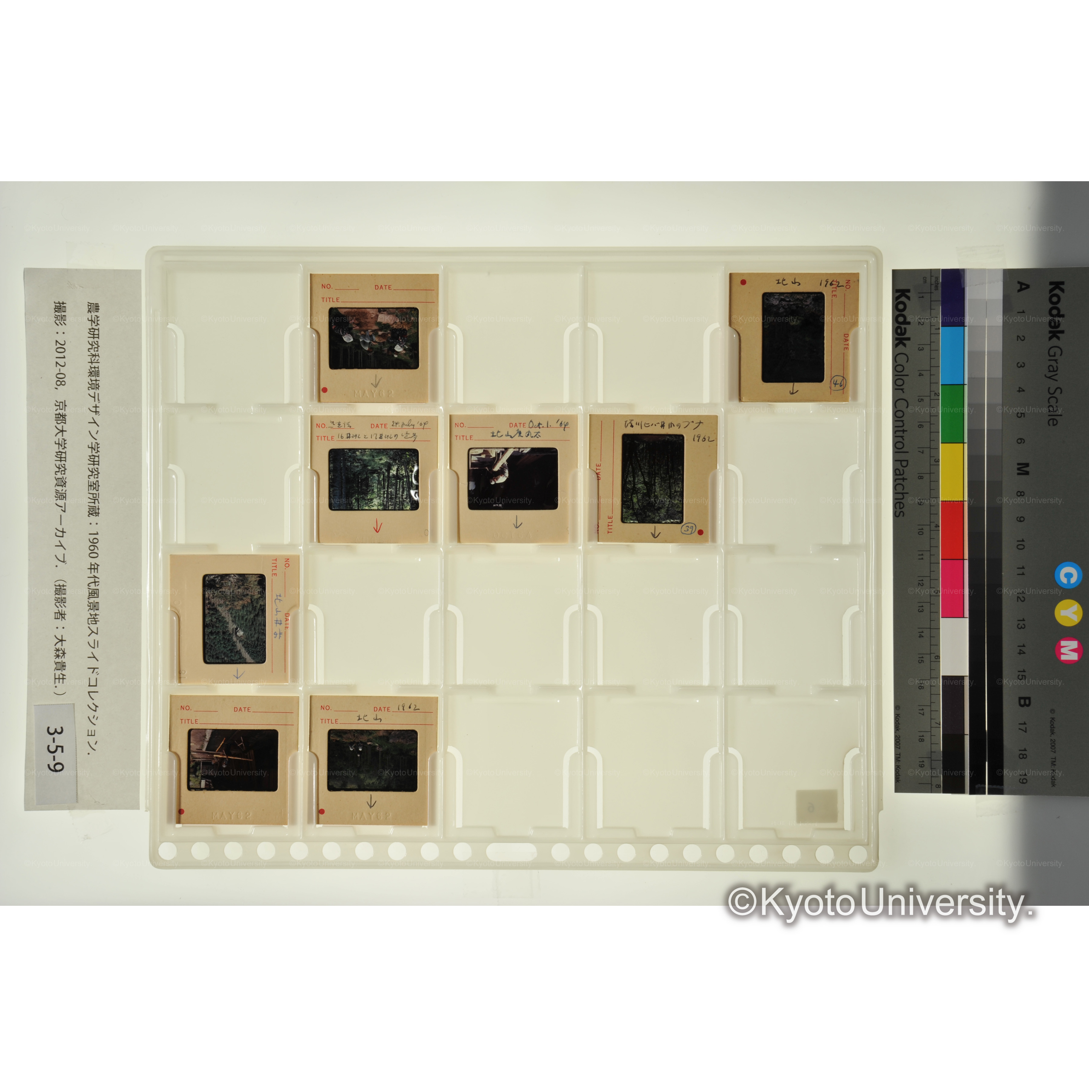 〔北山、作業風景〕 (1)