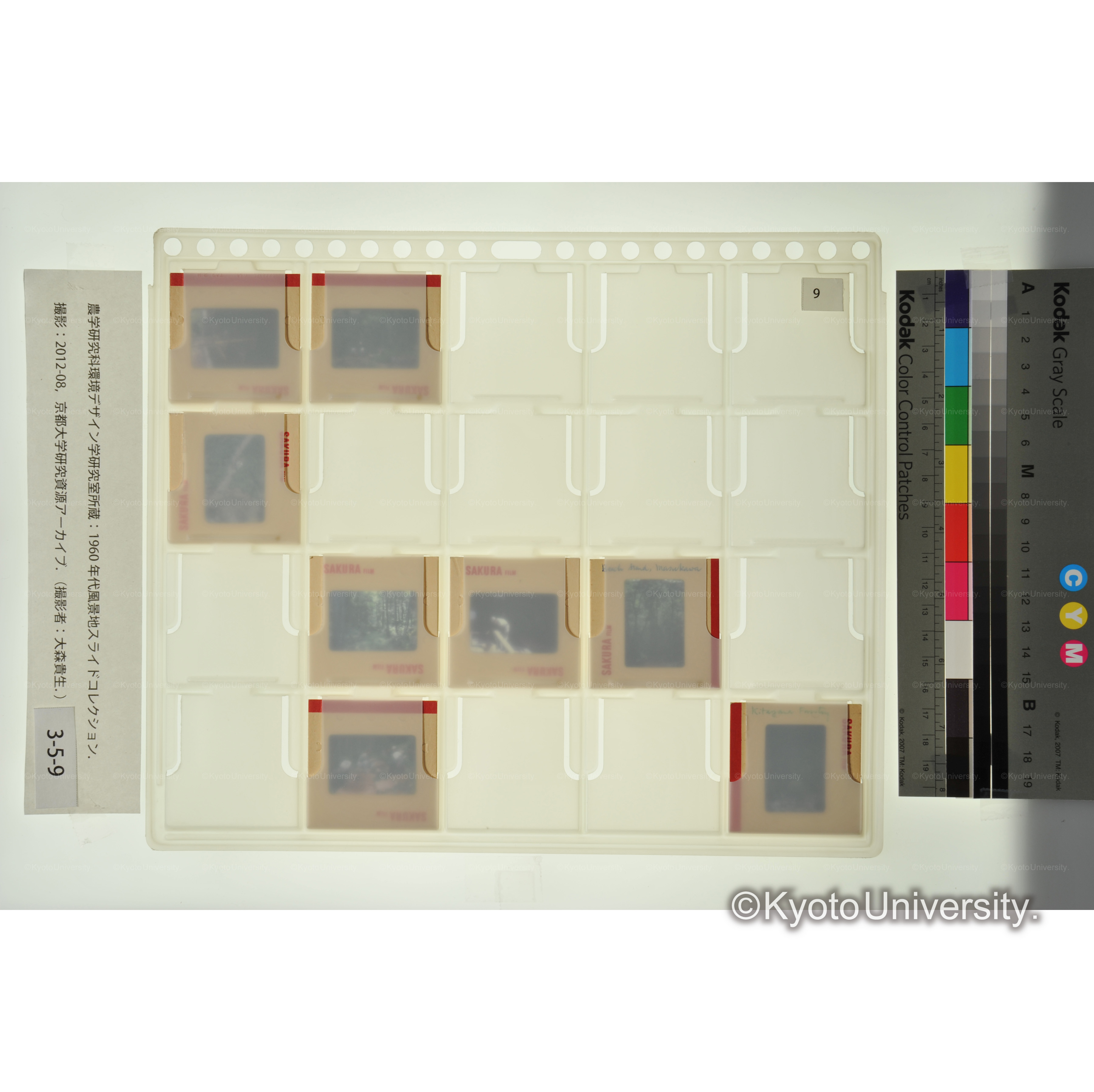 〔北山、作業風景〕 (2)