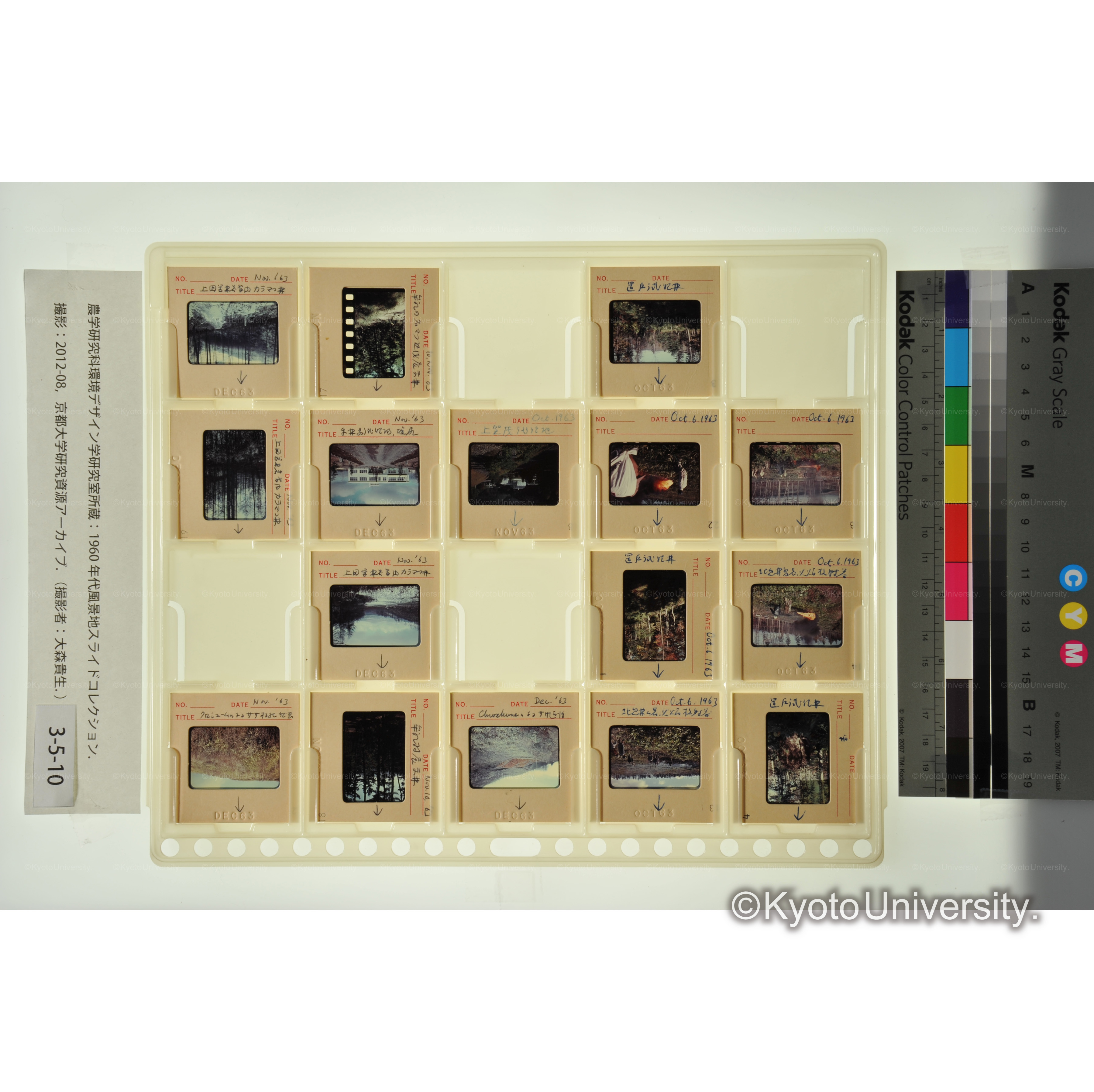 〔置戸試験林、上田営林署管内カラマツ林、上賀茂試験地〕 (1)