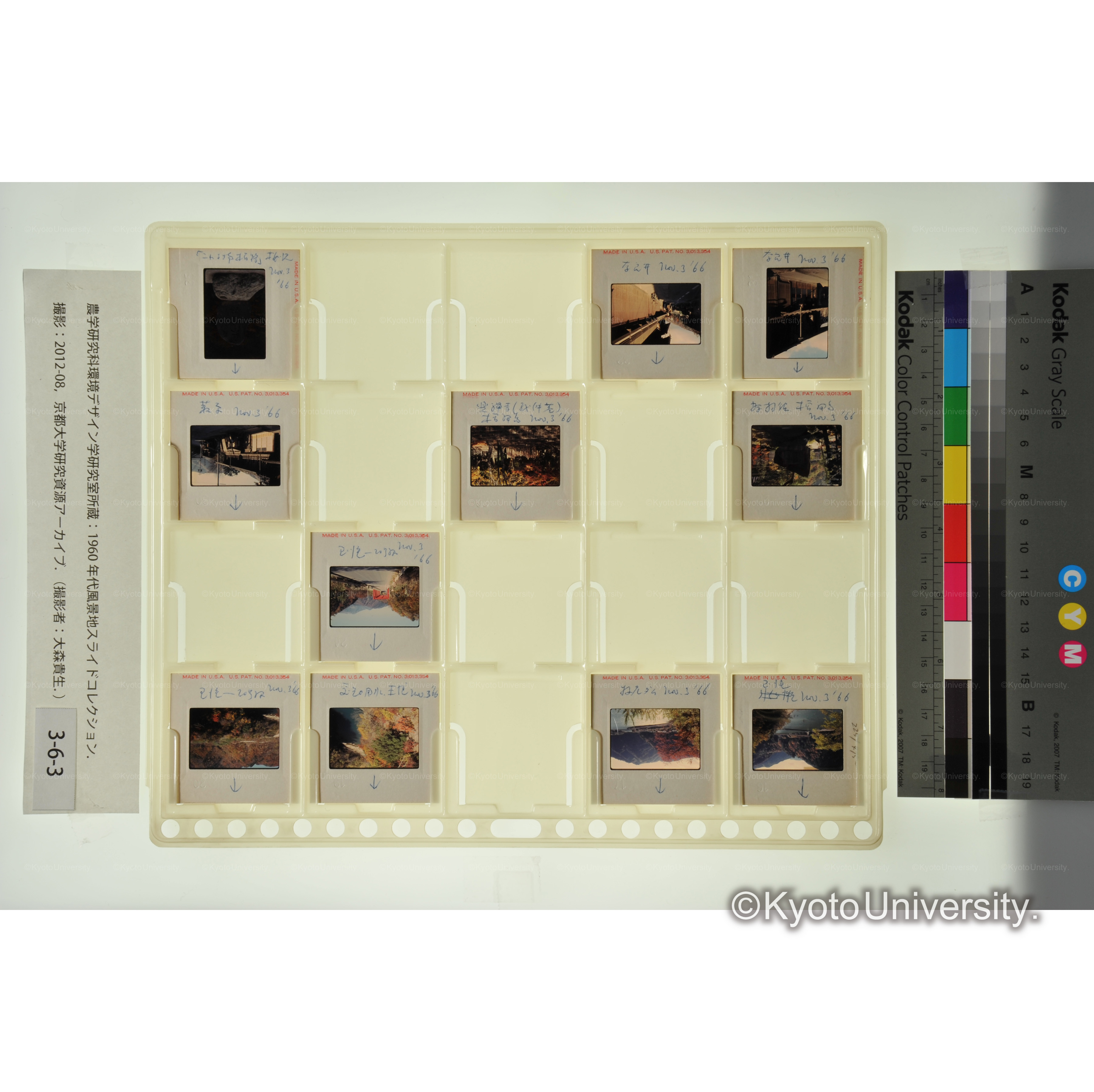 〔愛知用水、奈良井〕 (1)