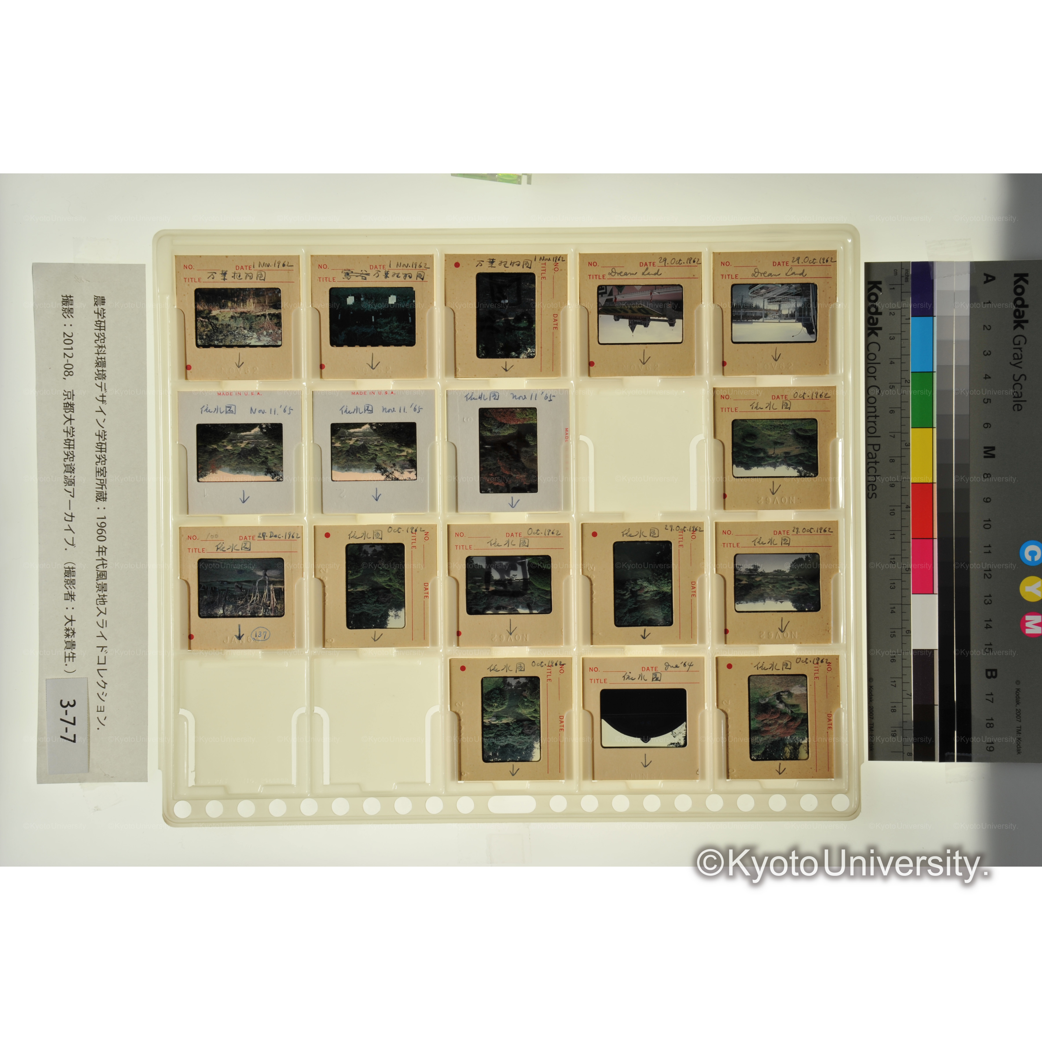 依水園、ドリームランド、万葉植物園 (1)