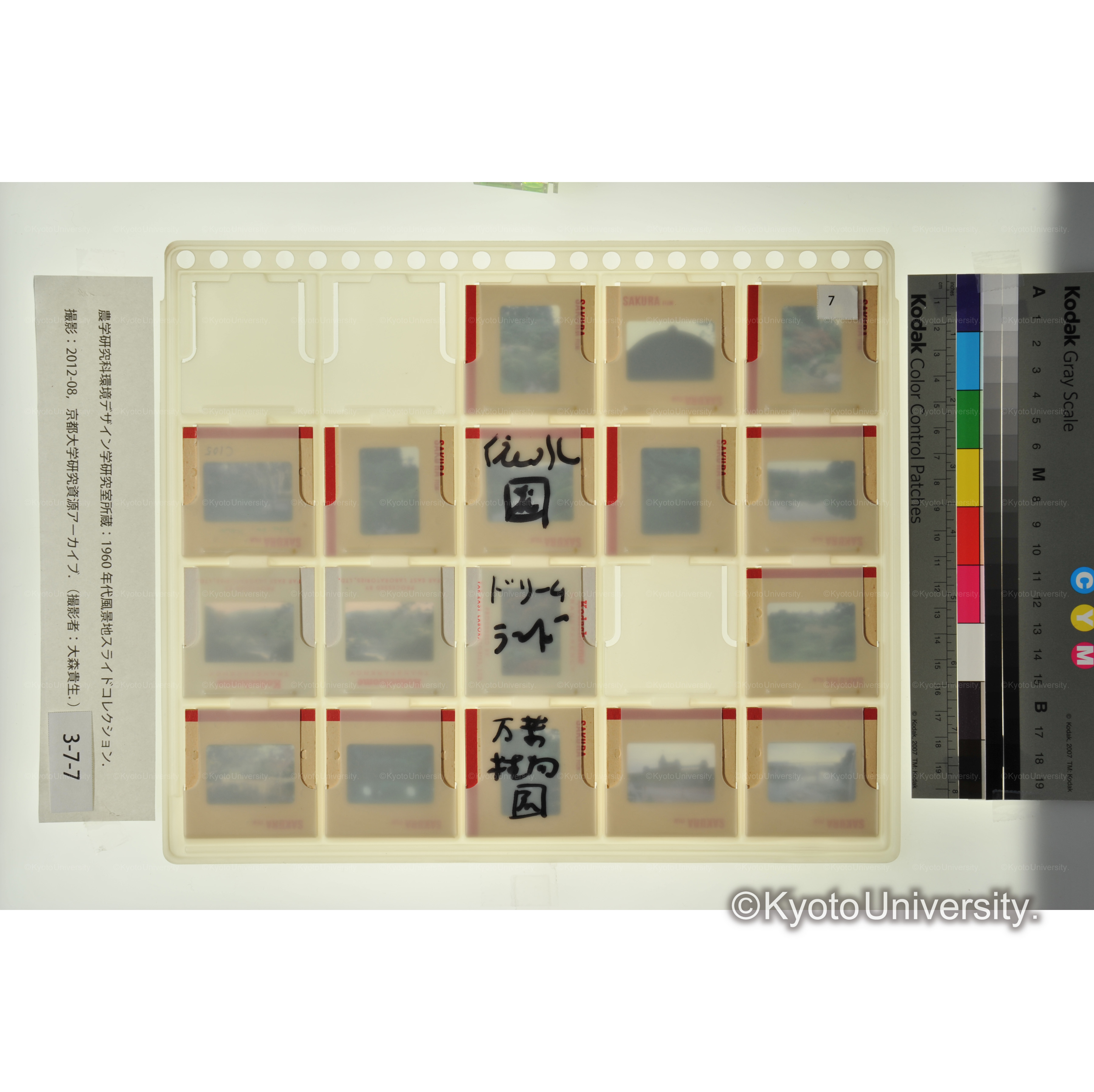 依水園、ドリームランド、万葉植物園 (2)