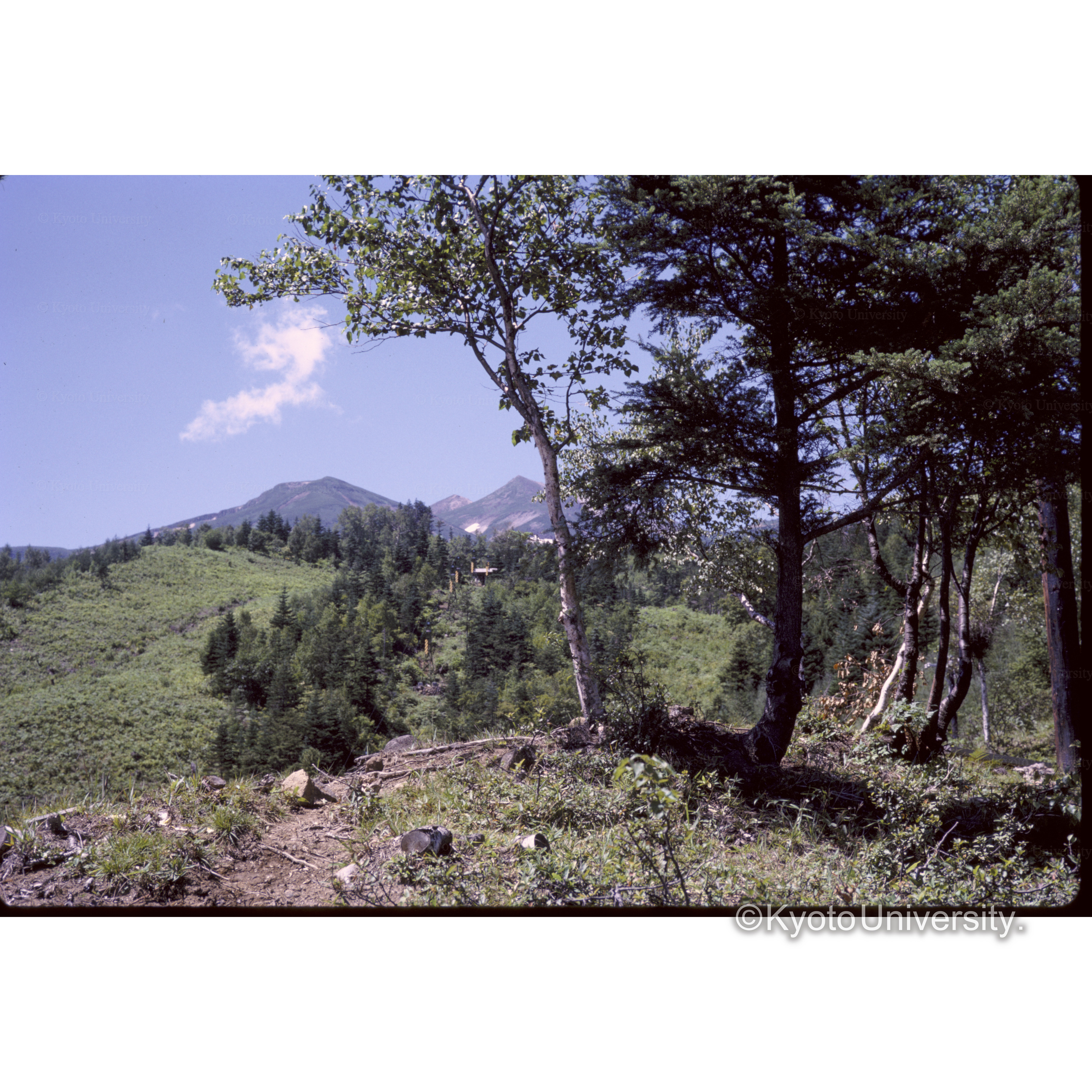 乗鞍ロッジ付近 (1)