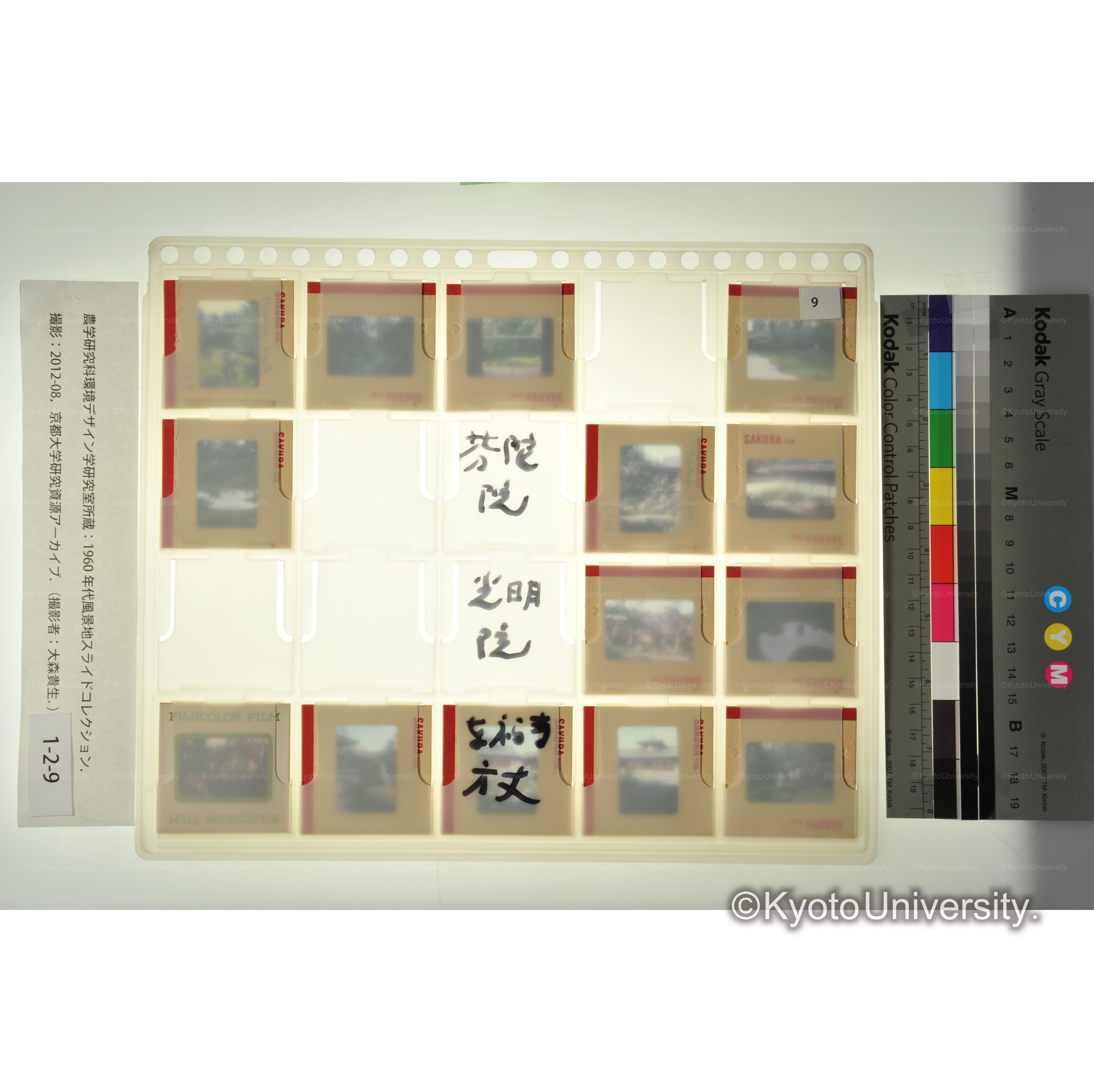 芬陀院、光明院、東福寺方丈 (2)