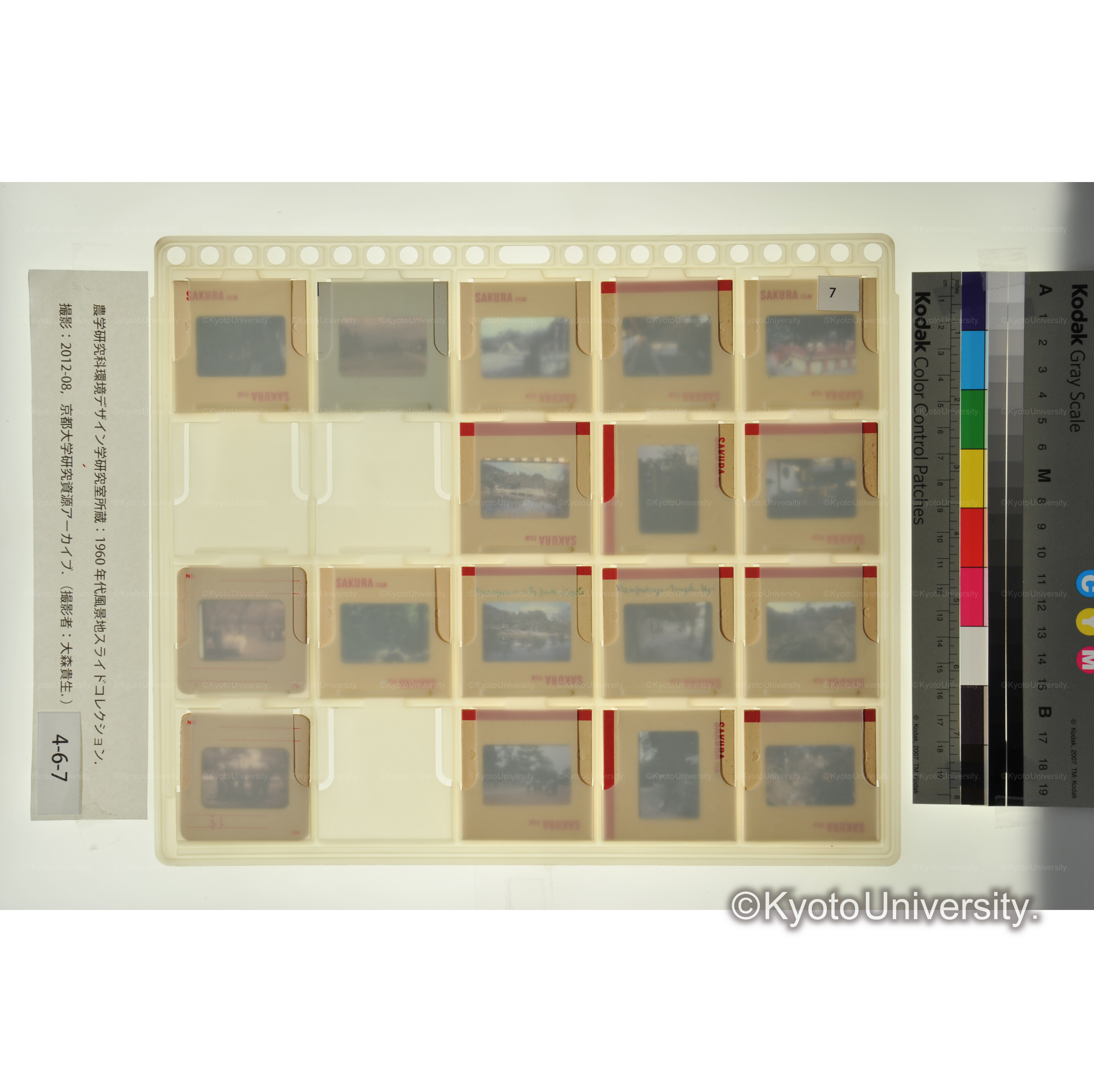 〔建勲神社、万福寺、東福寺、円山公園〕 (2)