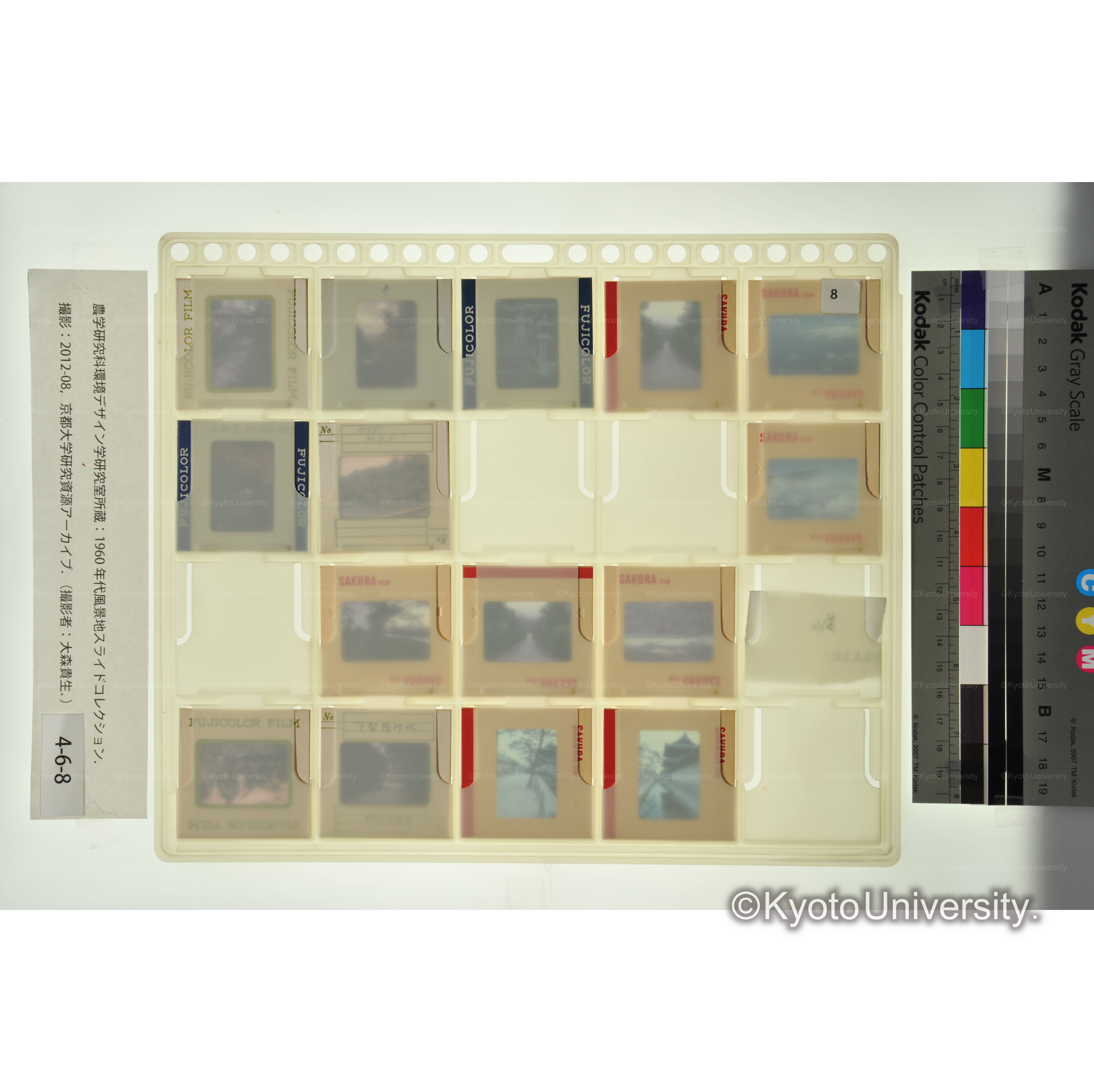 〔京都の寺社〕 (2)