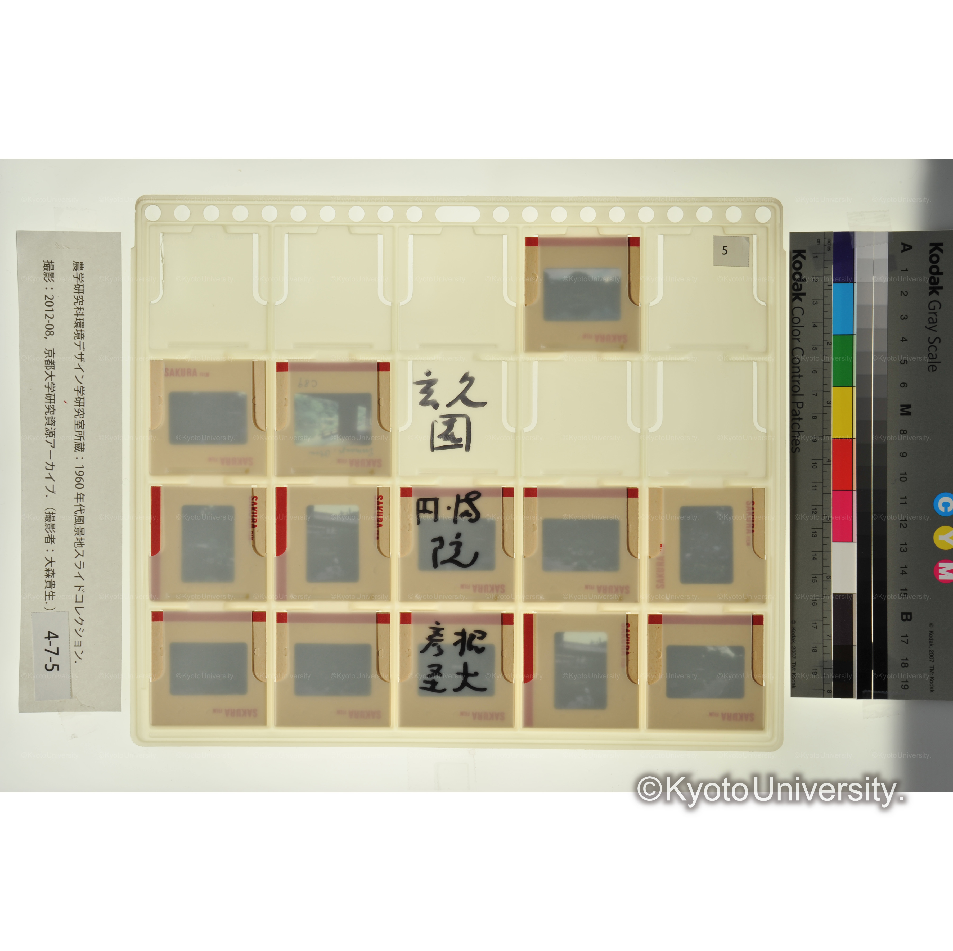 玄久園、円満院、彦根圣大 (2)