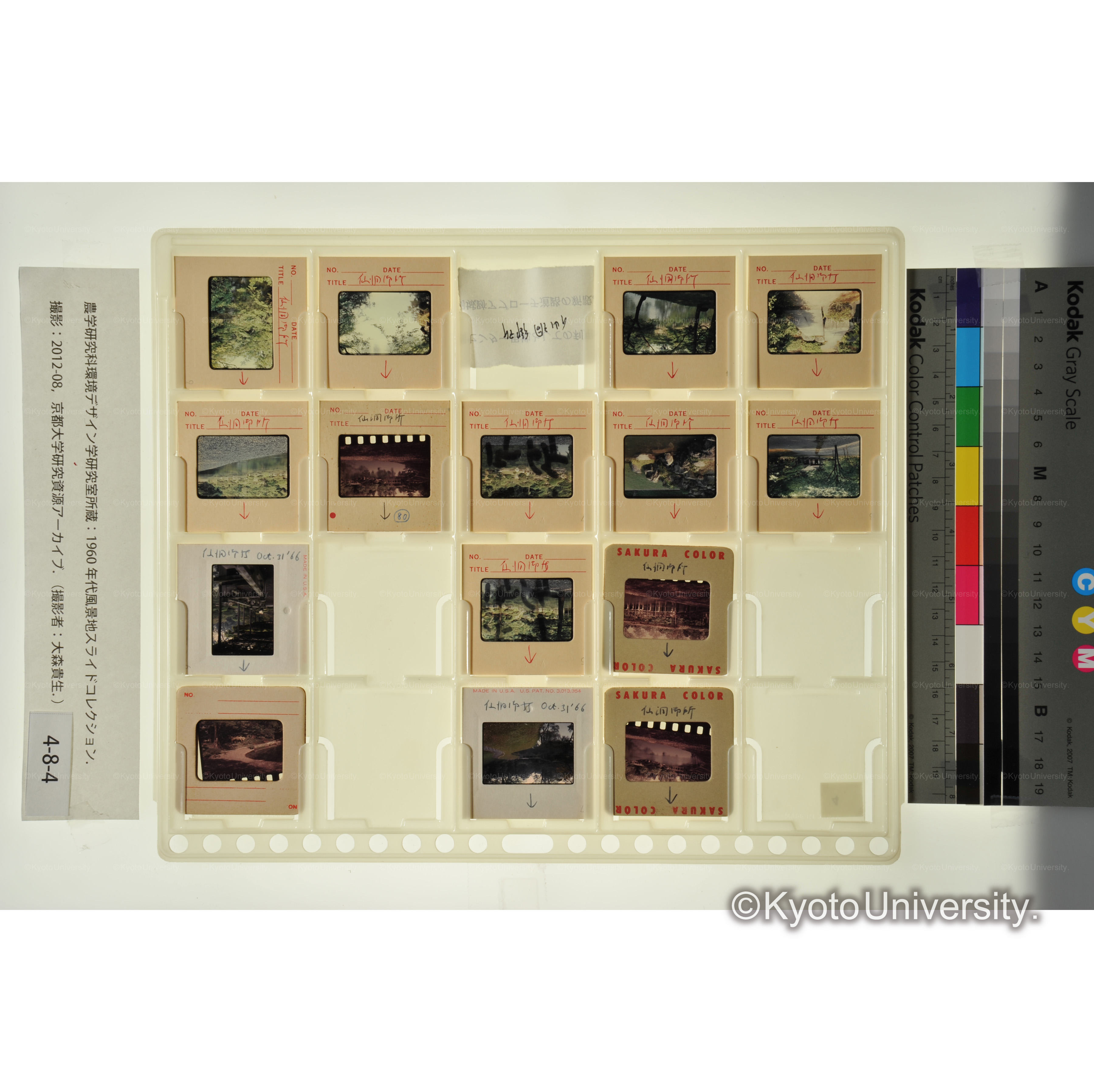 京都御所、仙洞御所 (1)