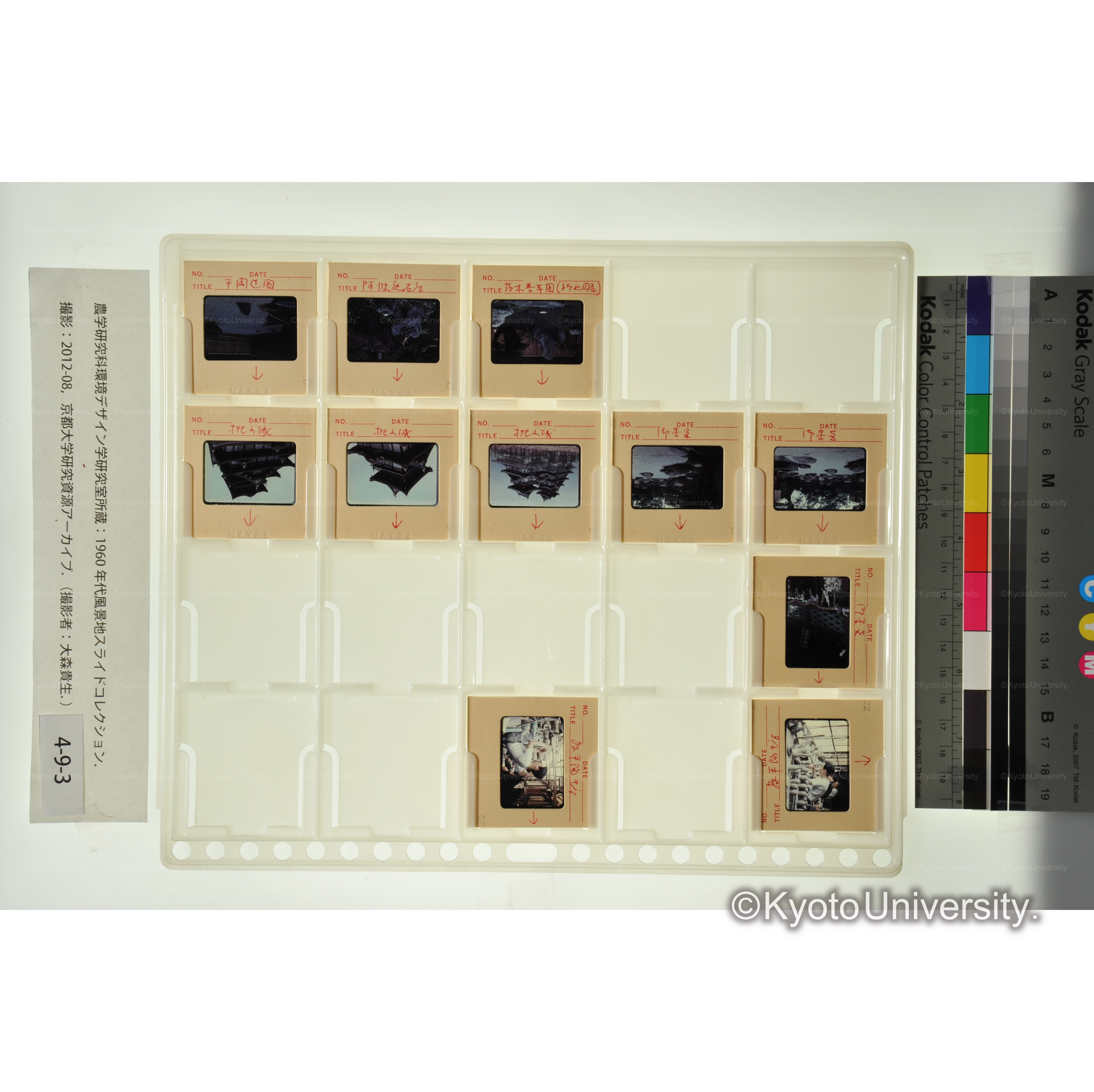 〔御香宮、桃山城〕 (1)