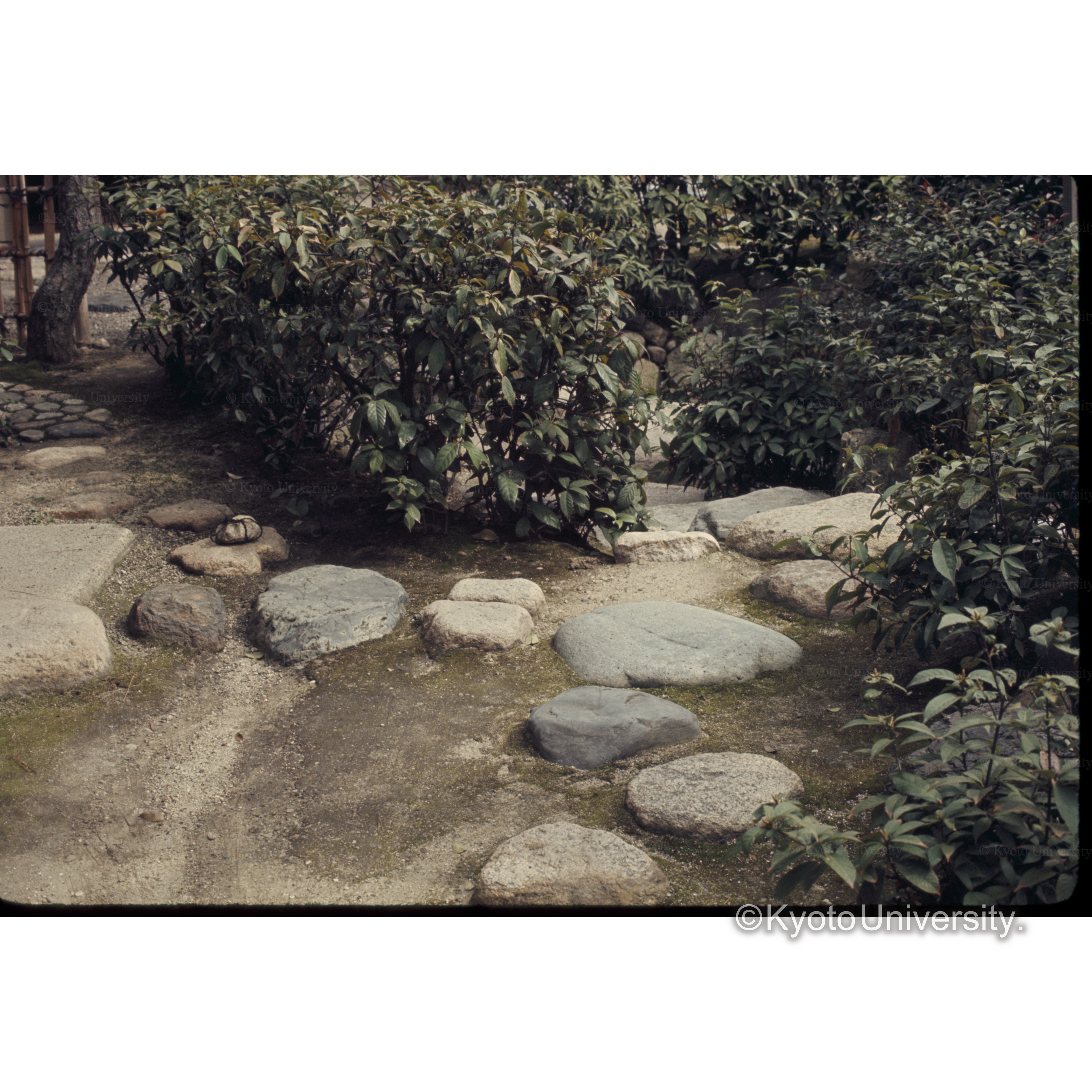 実相庵（南宗寺）庭園 (1)