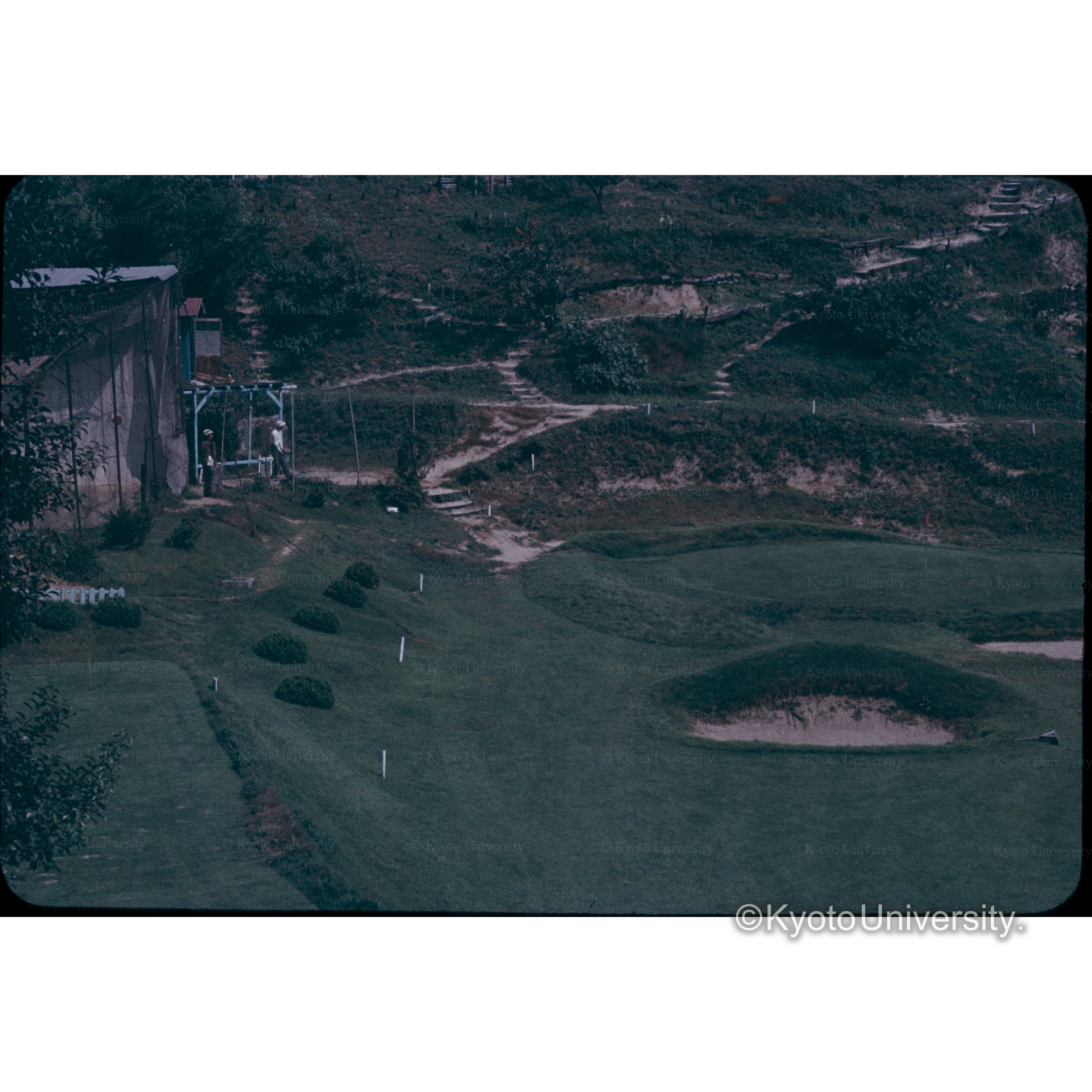 千里山ゴルフ練習場 (1)