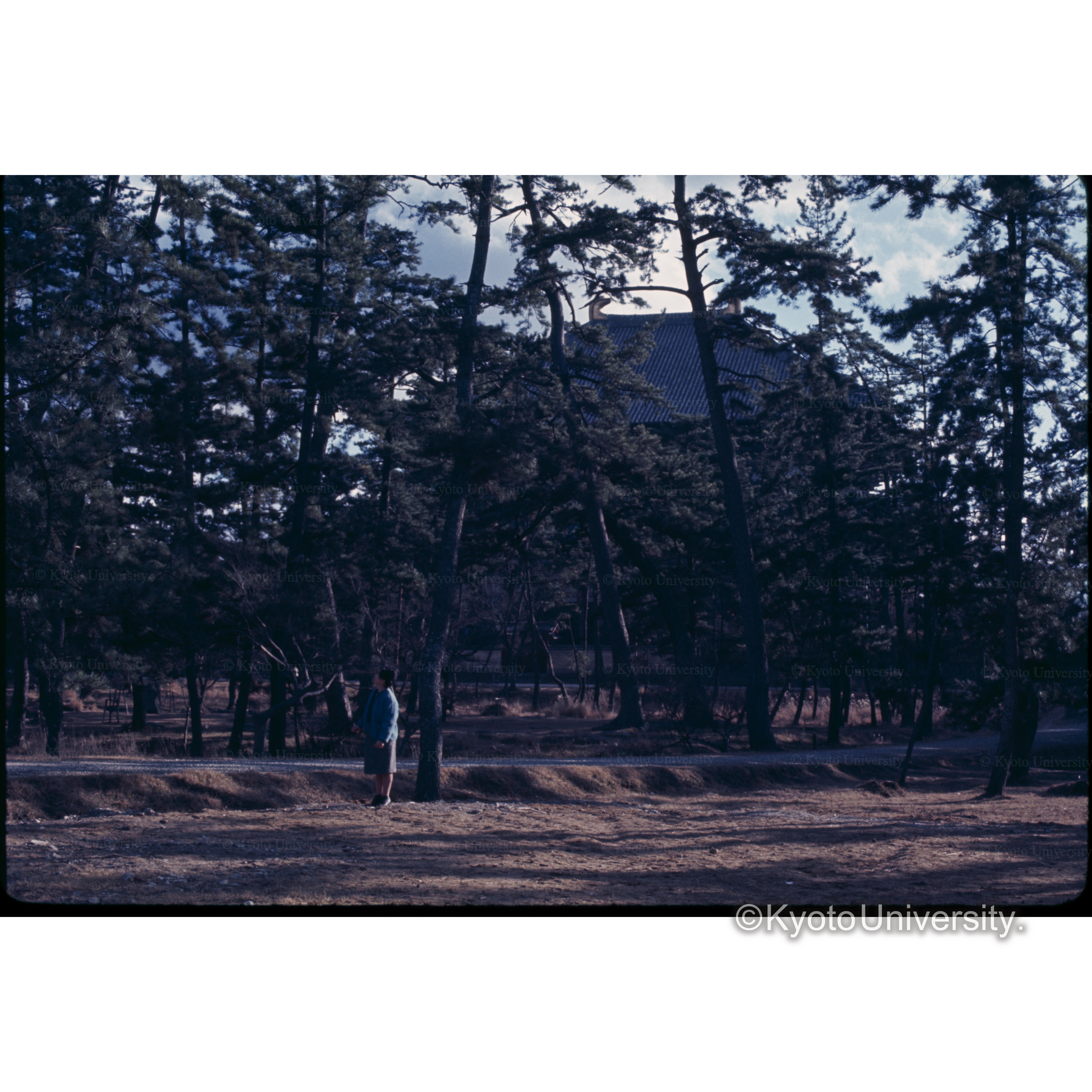 東大寺大仏殿 (1)