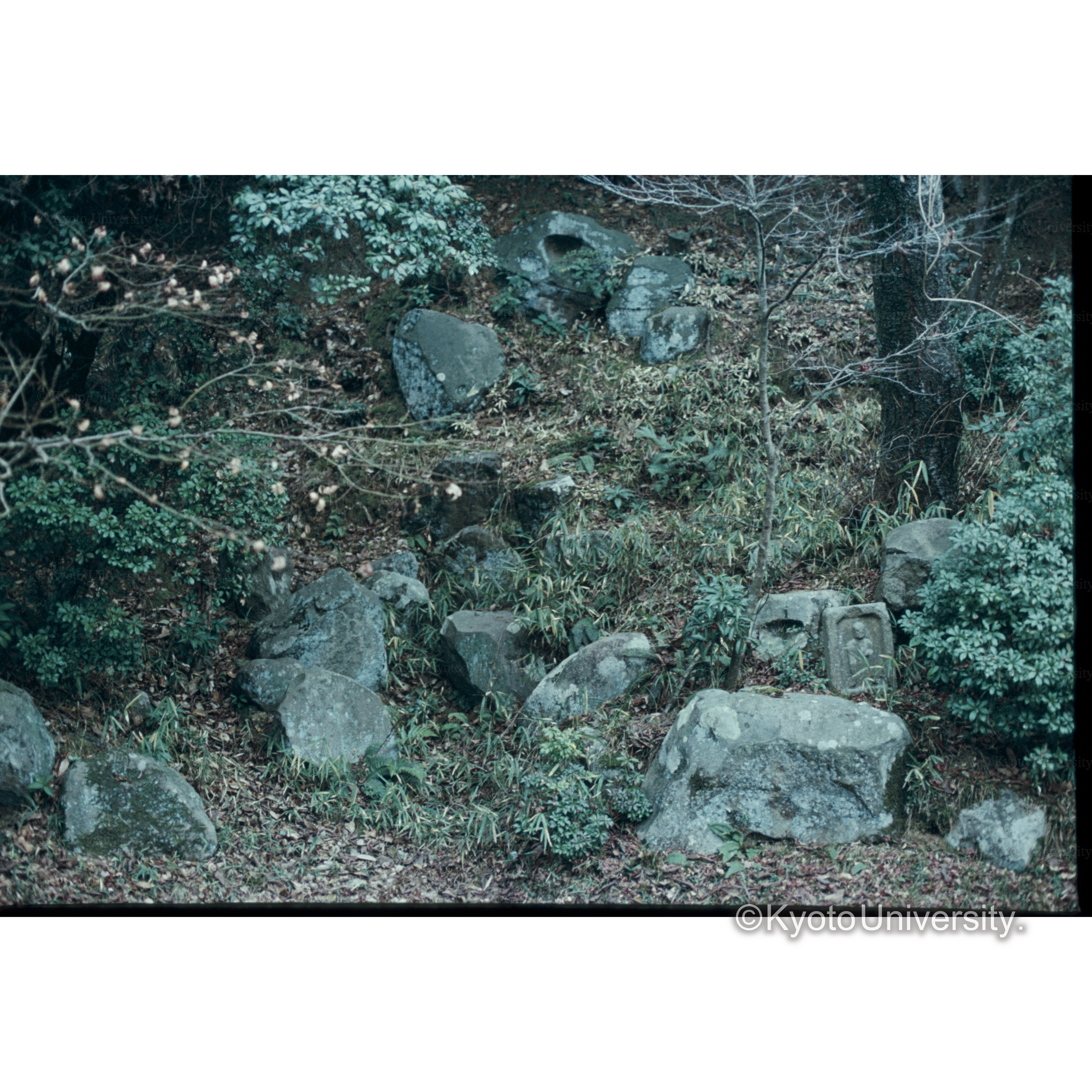 東大寺知足院 (1)