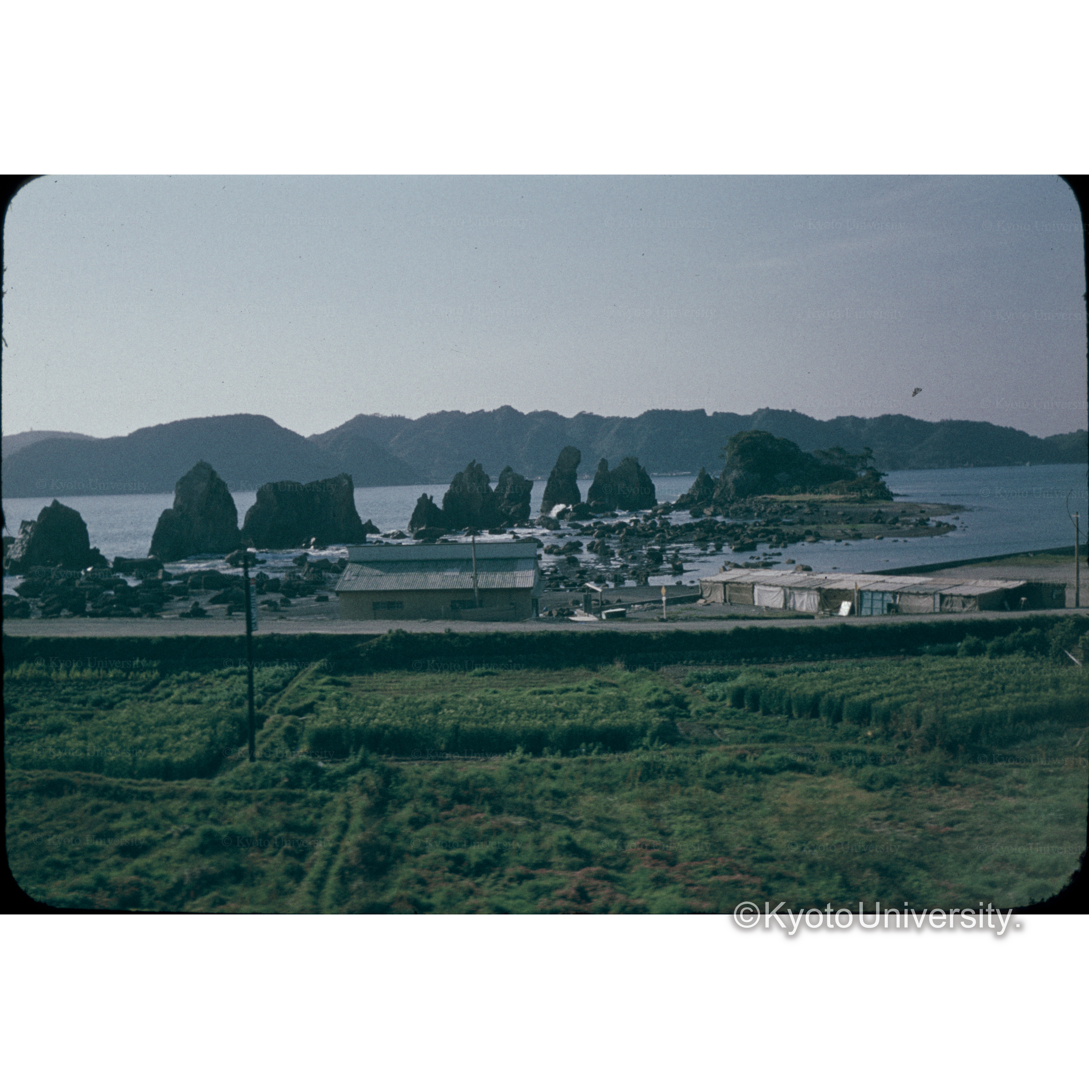 〔農地から見る池〕 (1)