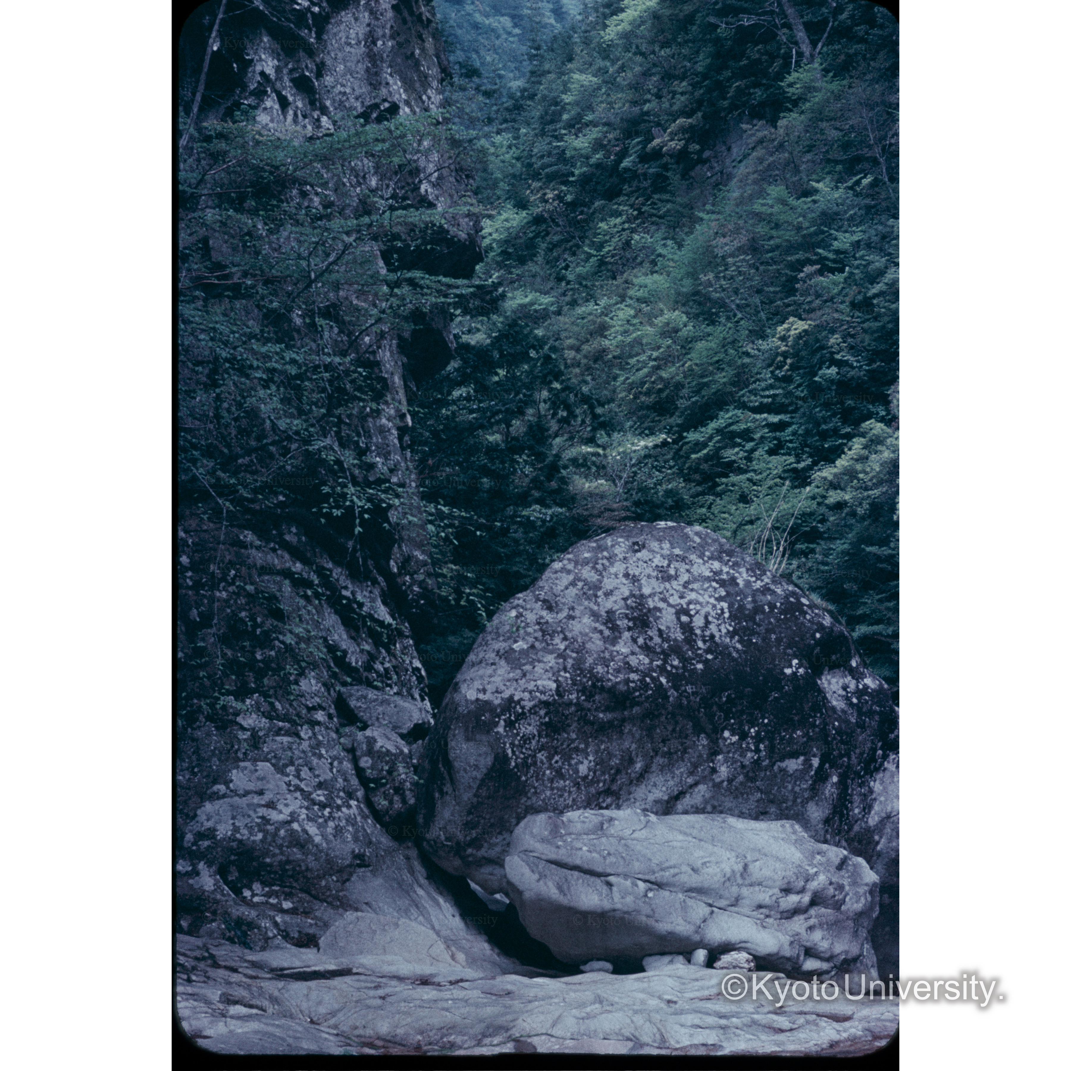 花瀬（十津川） (1)