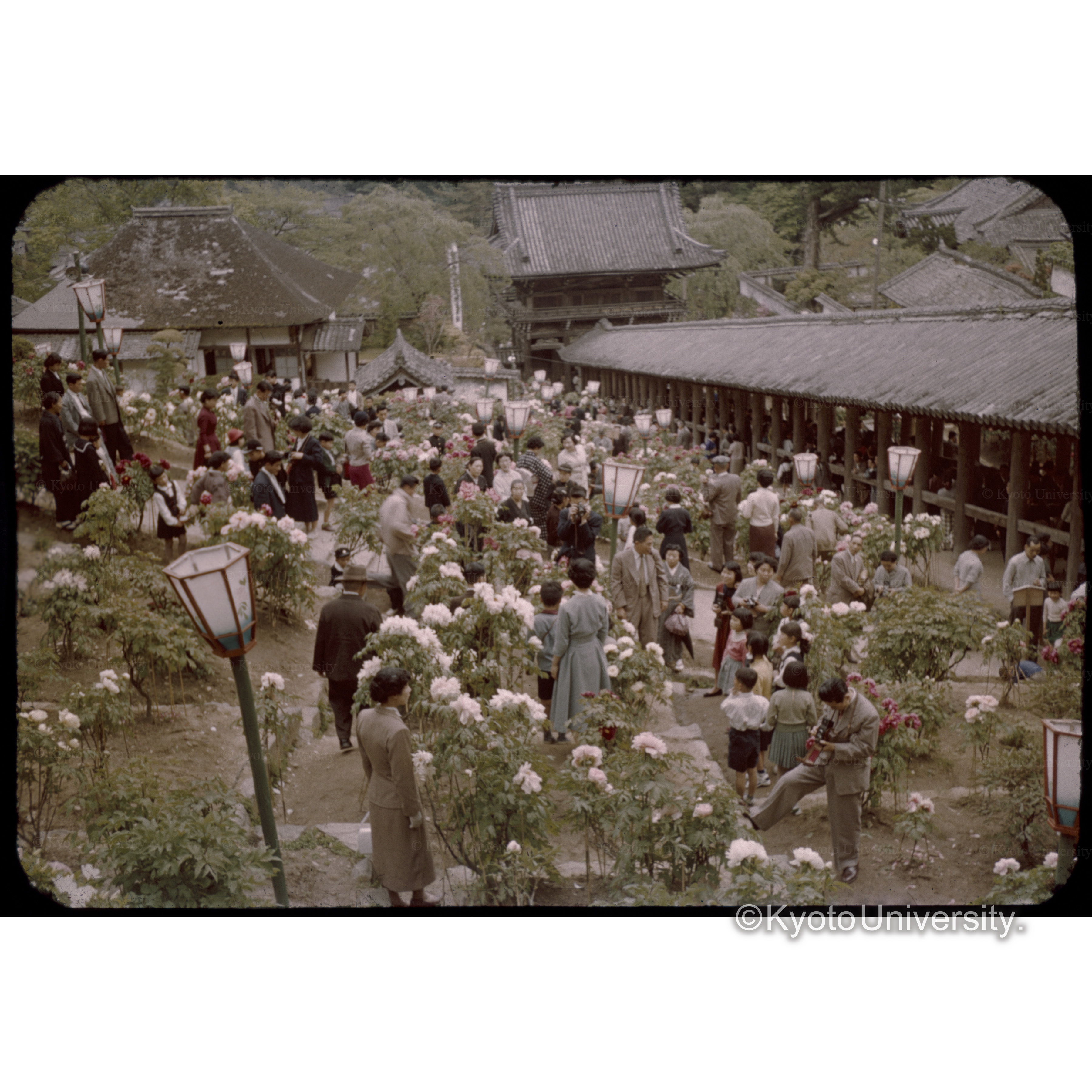 長谷寺(大和) (1)