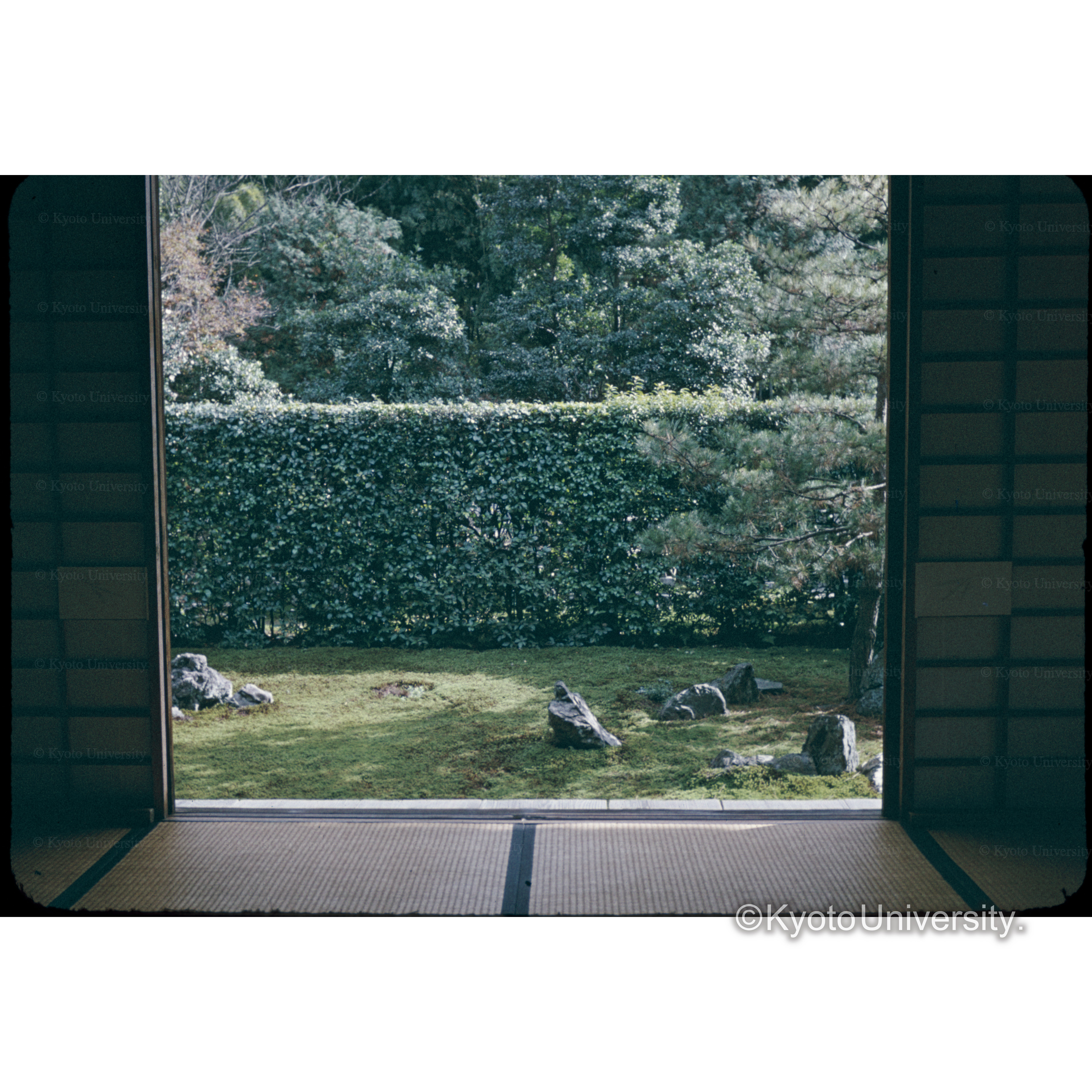 芬陀院 東庭 (1)