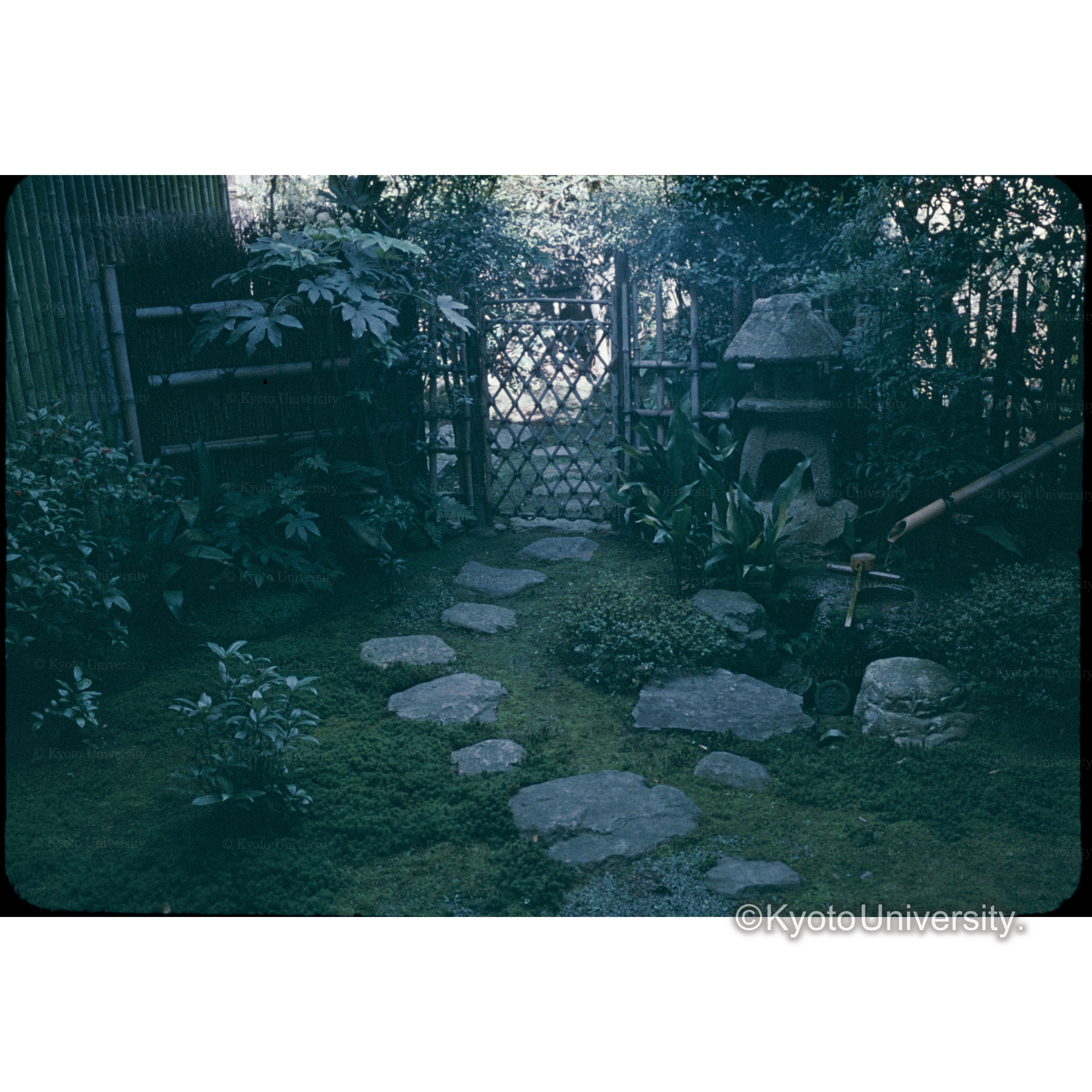 芬陀院 茶庭 (1)