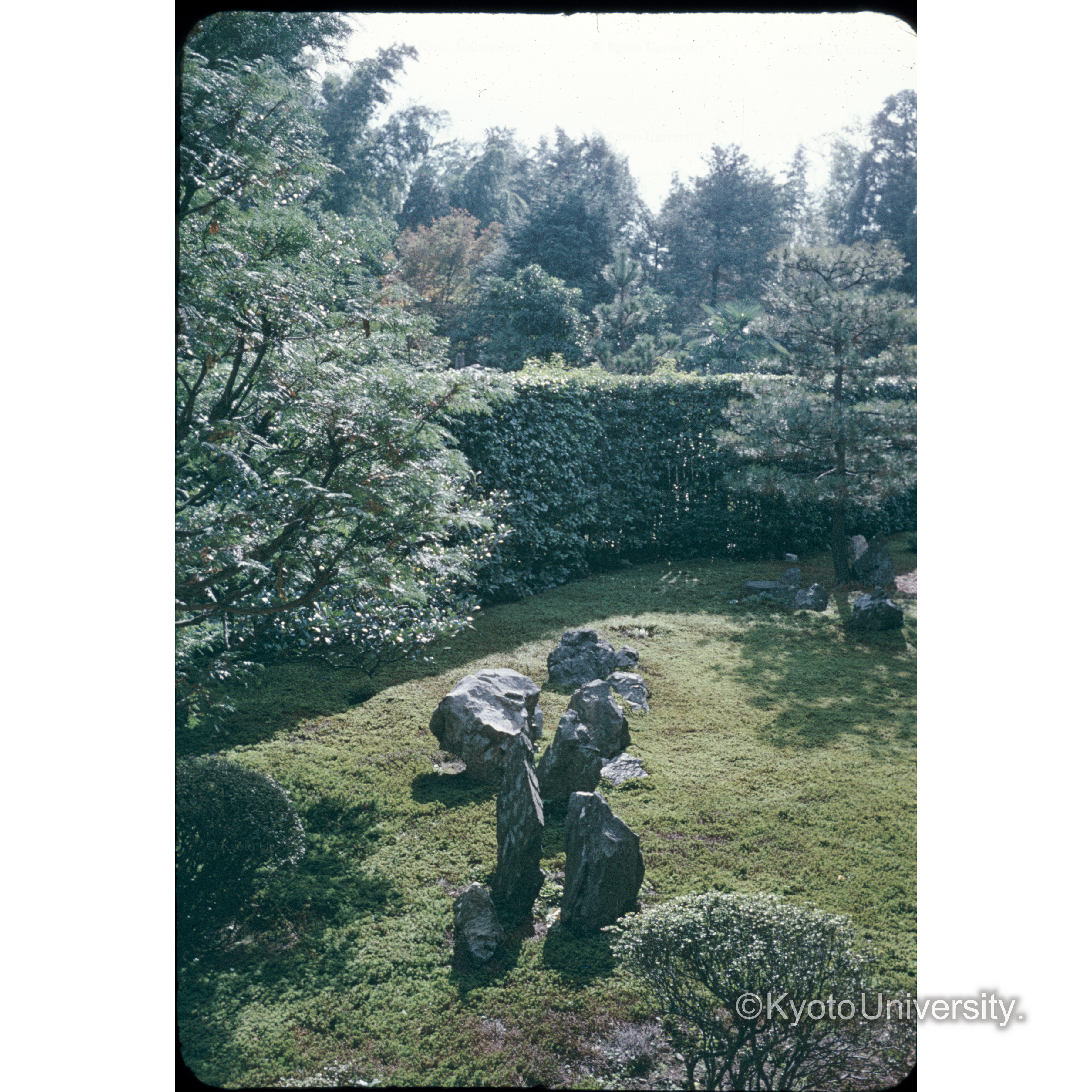 芬陀院 東庭 (1)