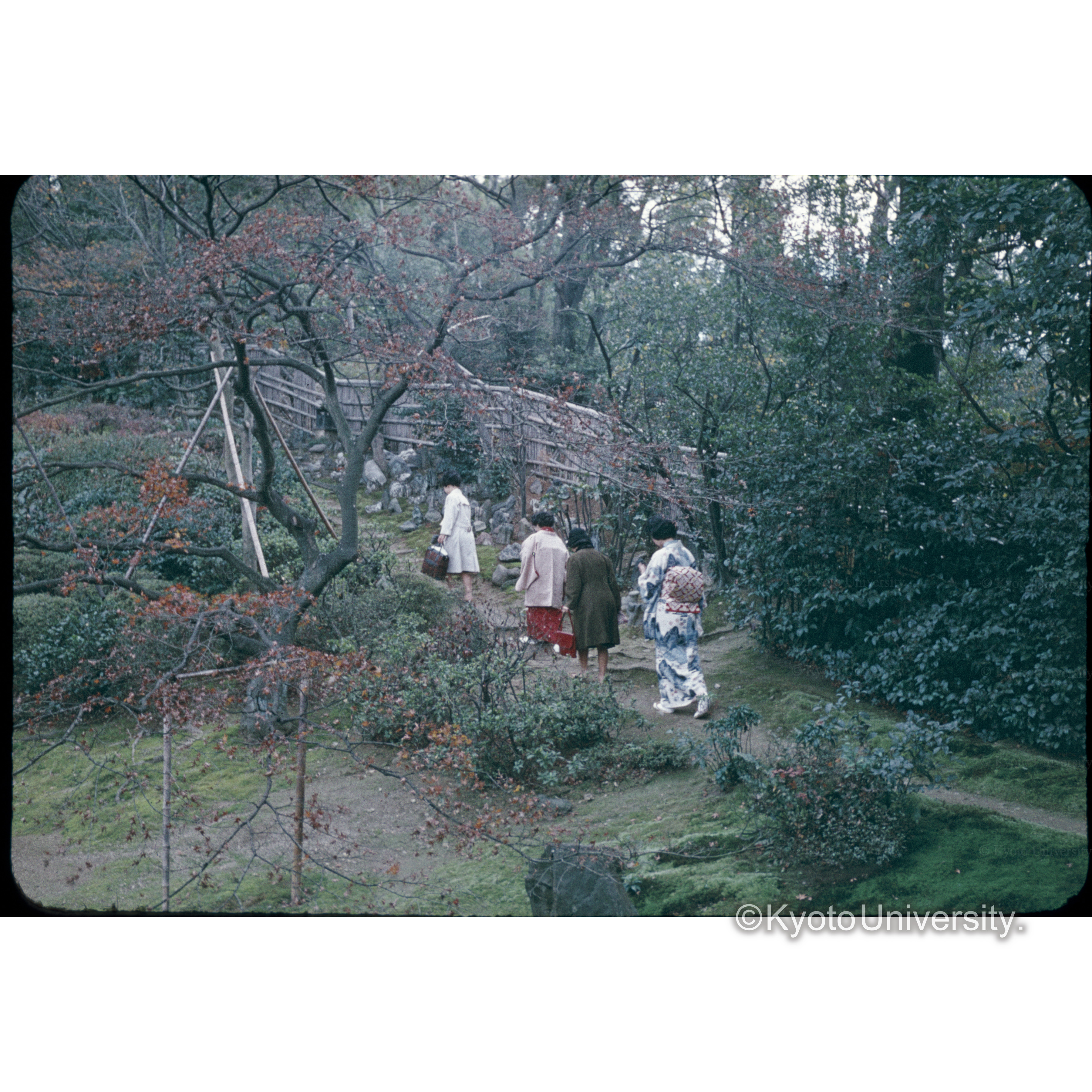 波心庭（光明院）東福寺 (1)