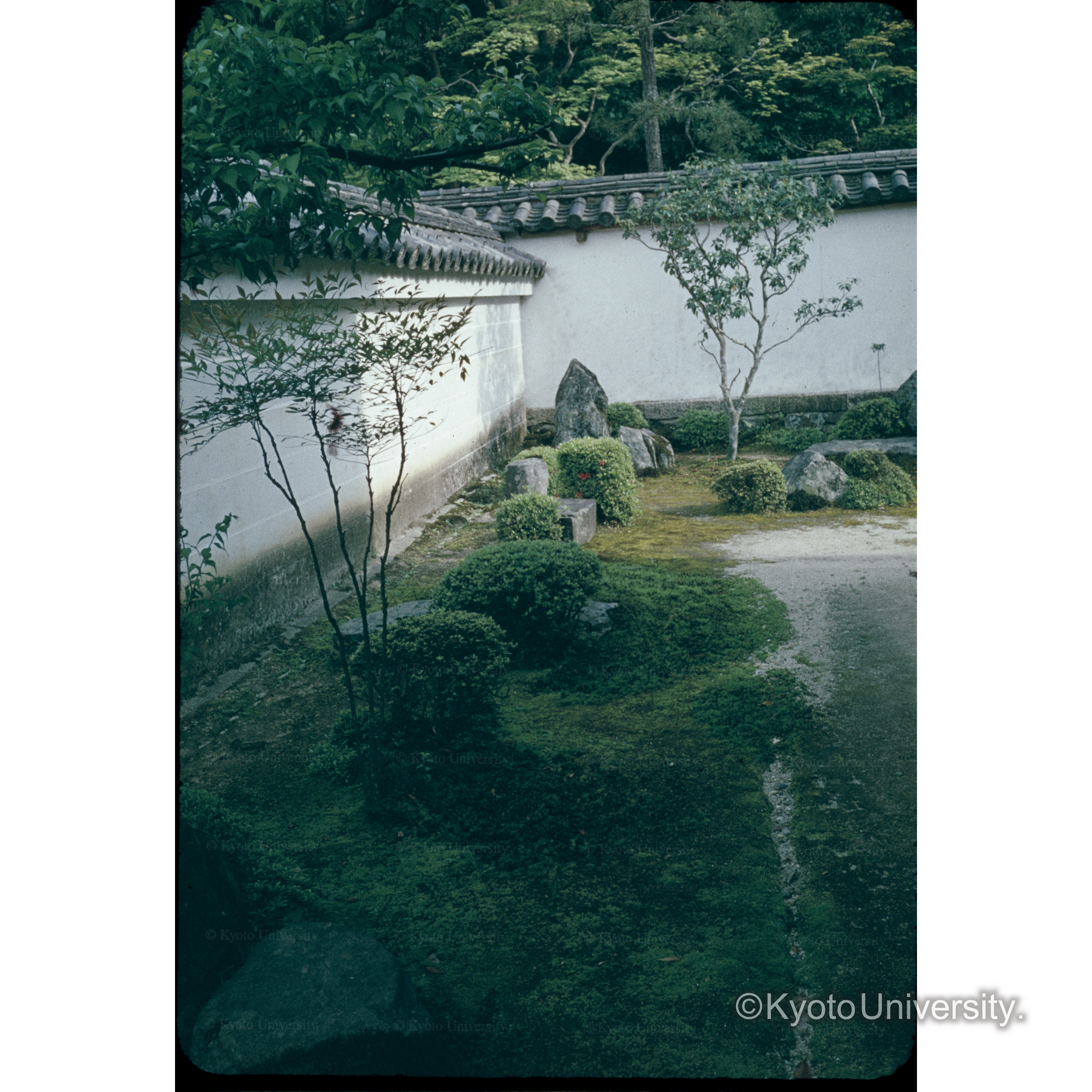 67 一休寺(酬恩庵) (1)