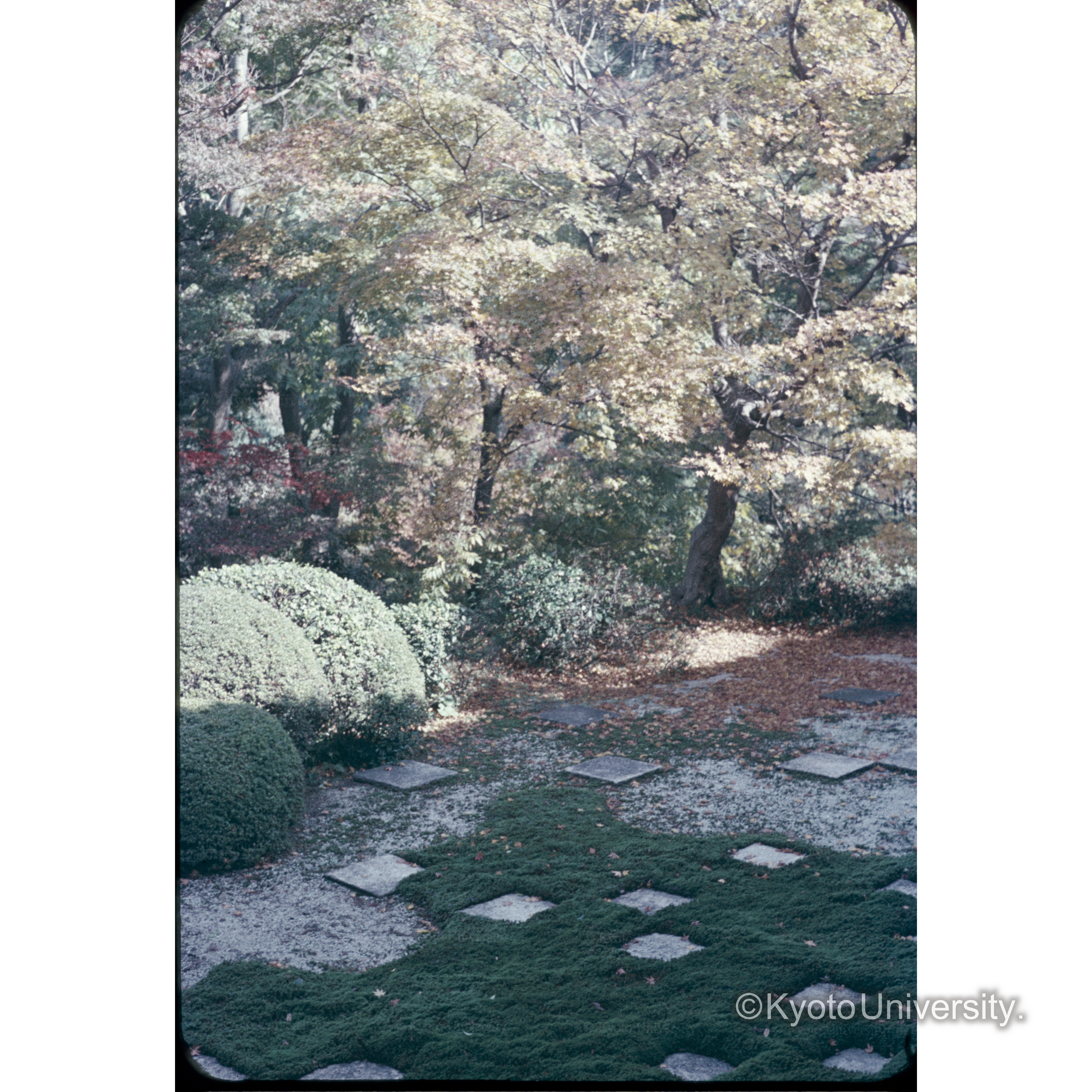 東福寺方丈北庭 (1)